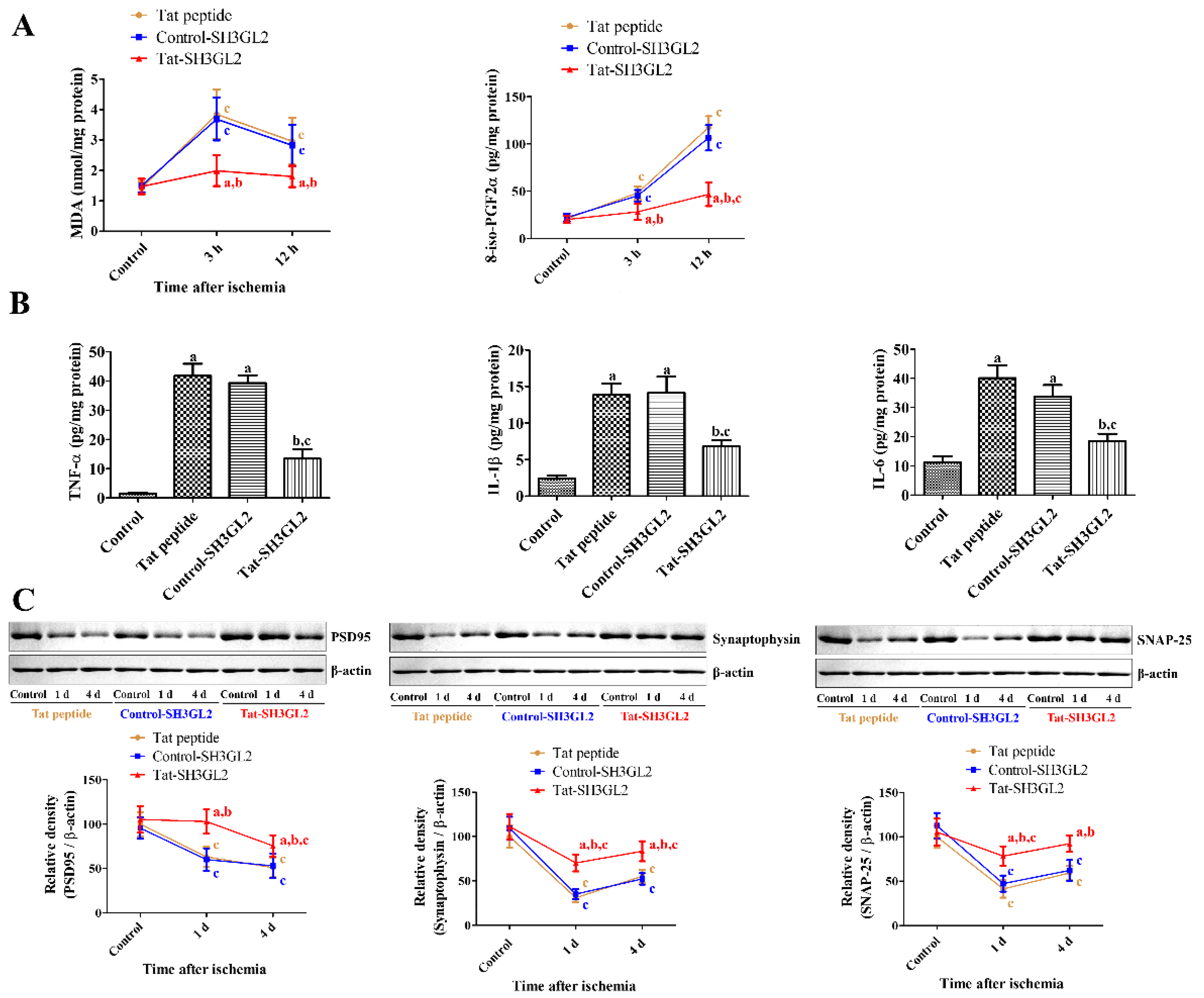 Cells 10 00357 g005 Cells 10 00357 g005