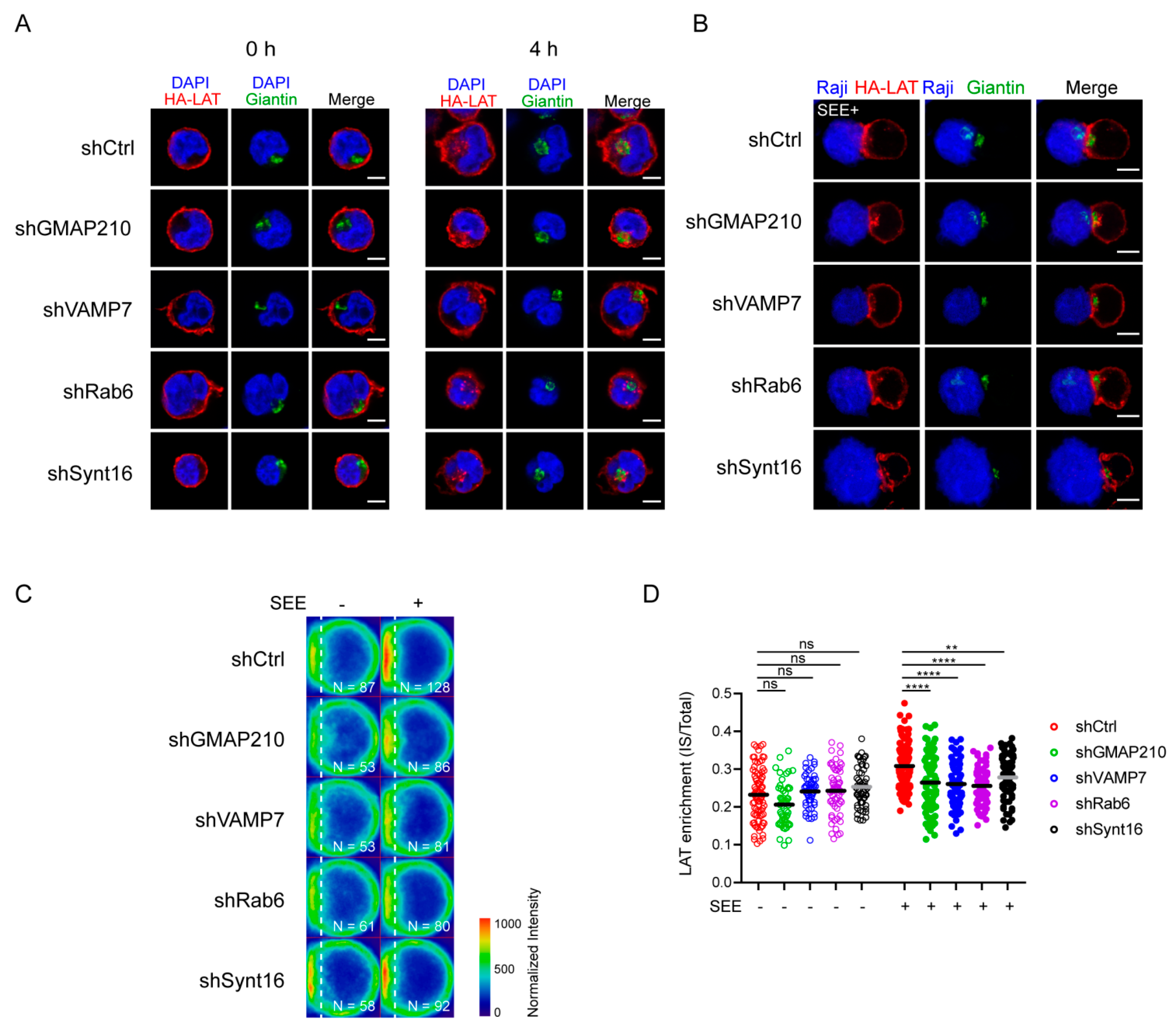 Cells 10 00359 g002 Cells 10 00359 g002