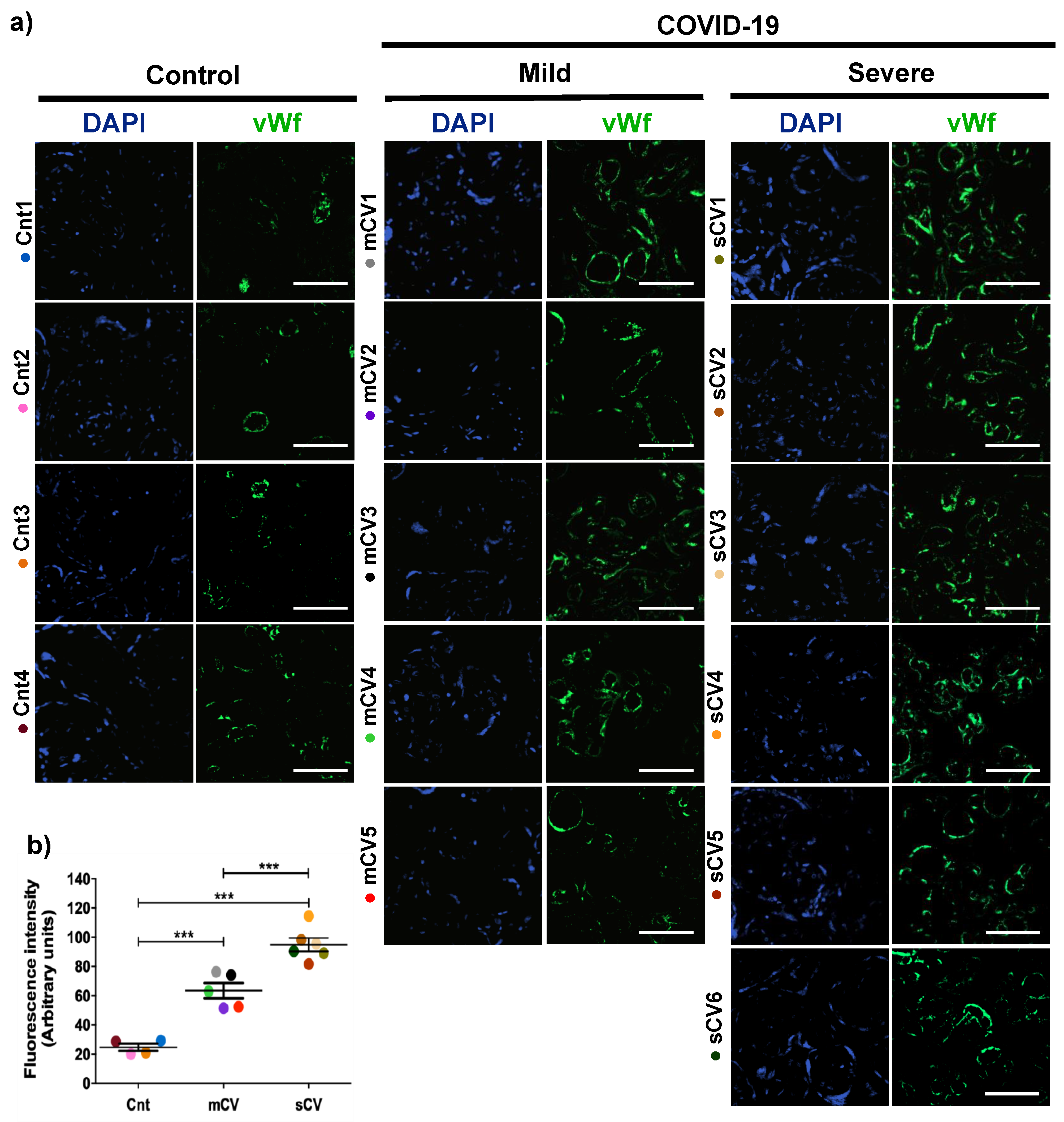 Cells 10 00364 g002 Cells 10 00364 g002