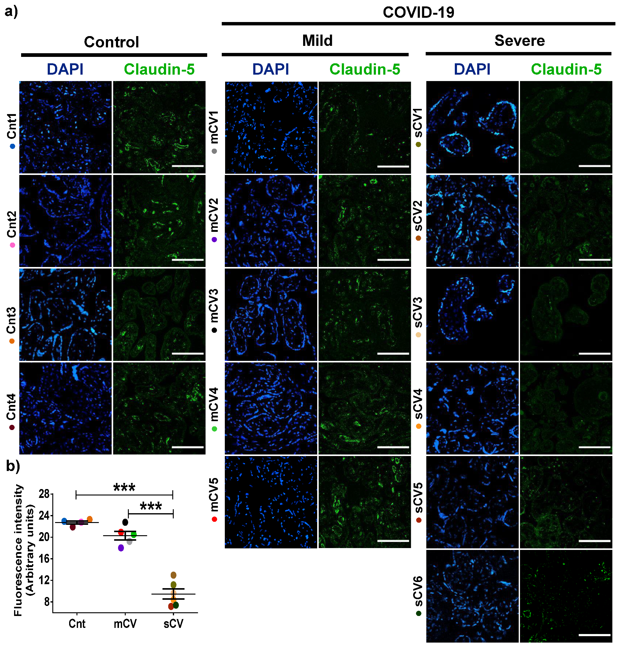 Cells 10 00364 g004 Cells 10 00364 g004