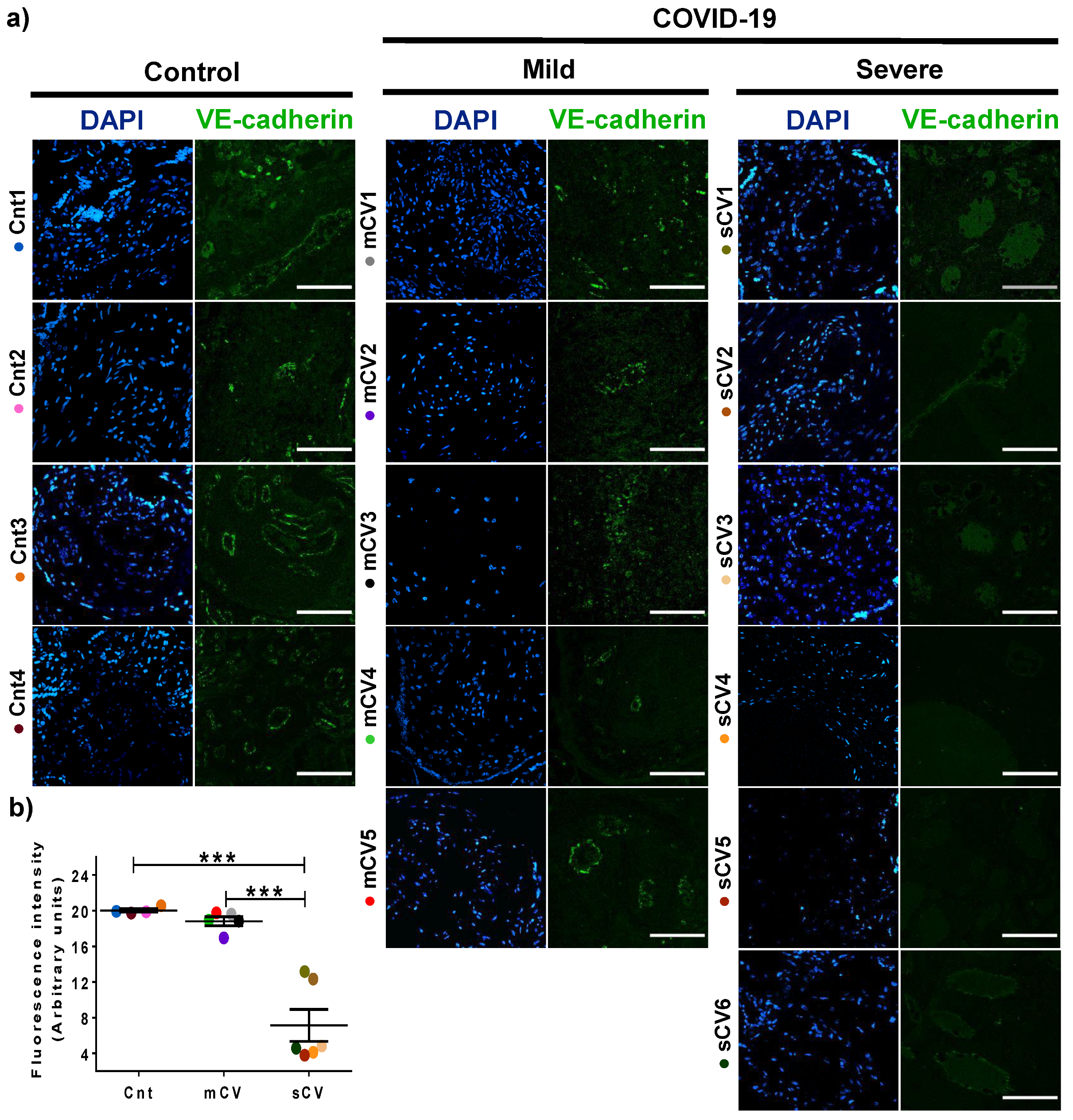 Cells 10 00364 g005 Cells 10 00364 g005