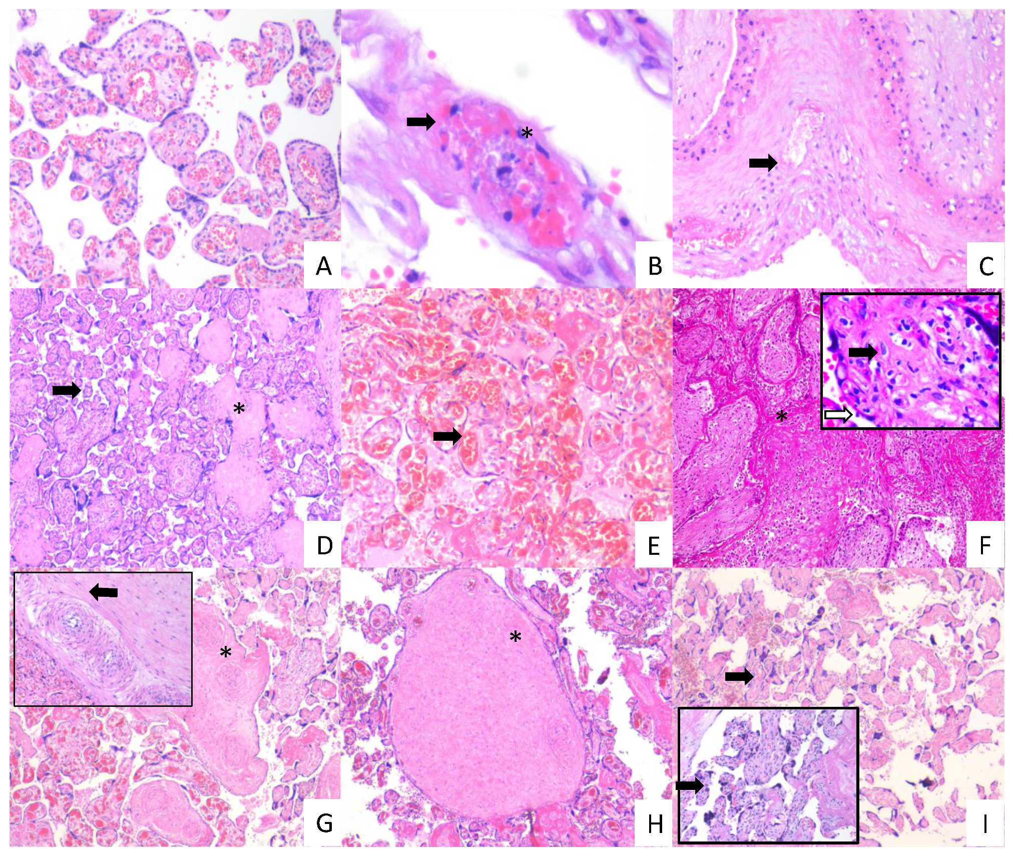 Cells 10 00364 g007 Cells 10 00364 g007