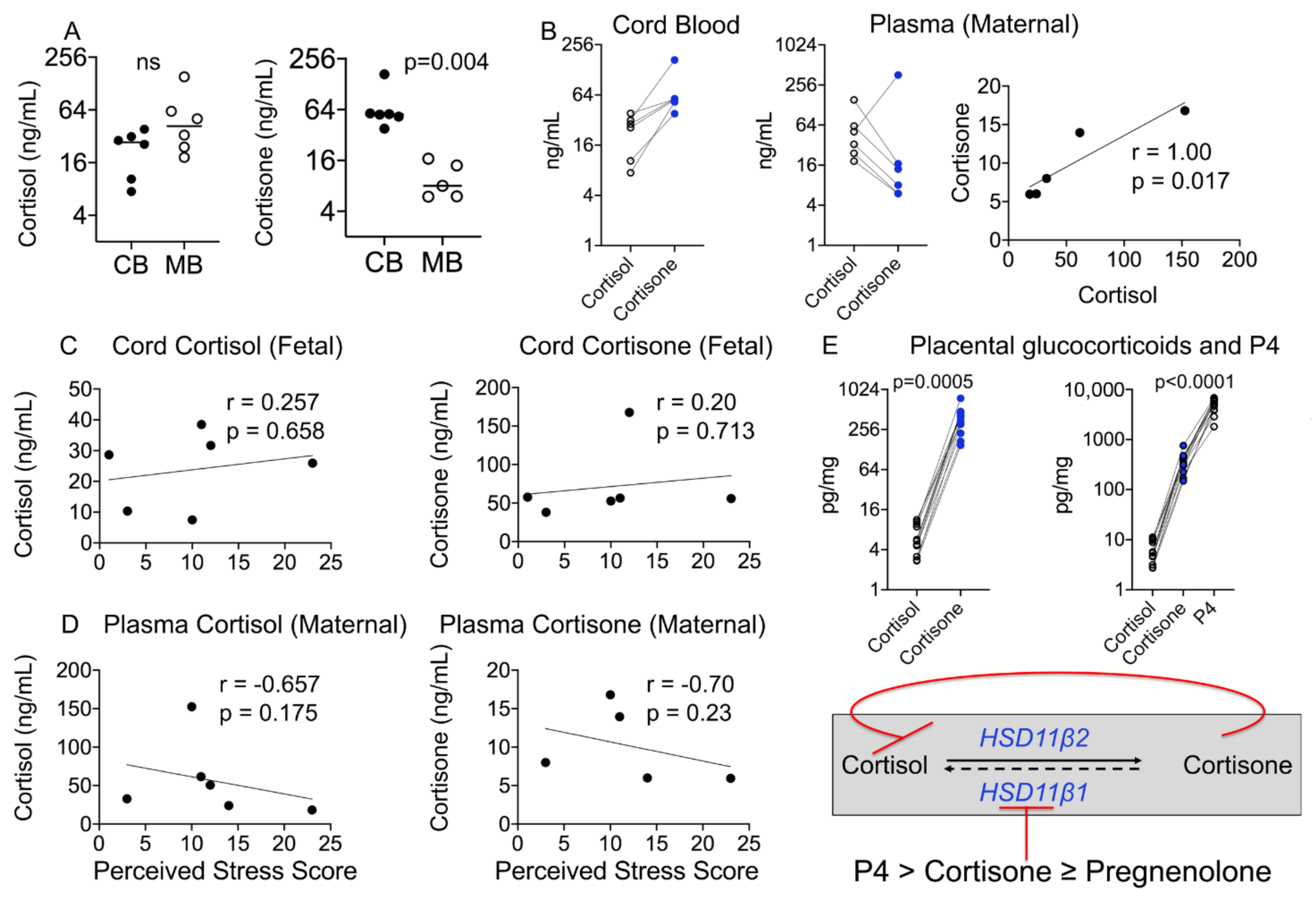 Cells 10 00379 g002 Cells 10 00379 g002
