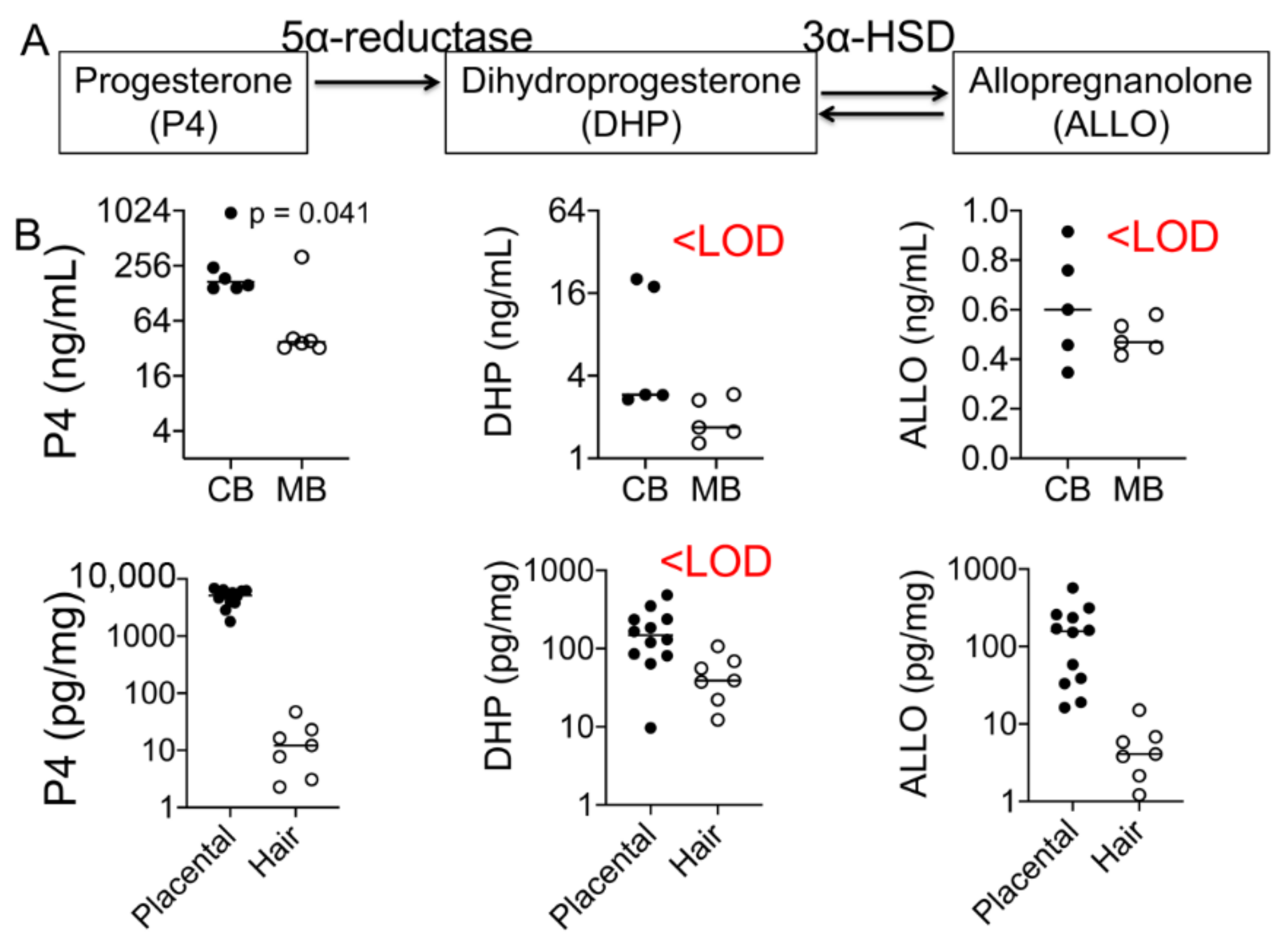 Cells 10 00379 g003 Cells 10 00379 g003
