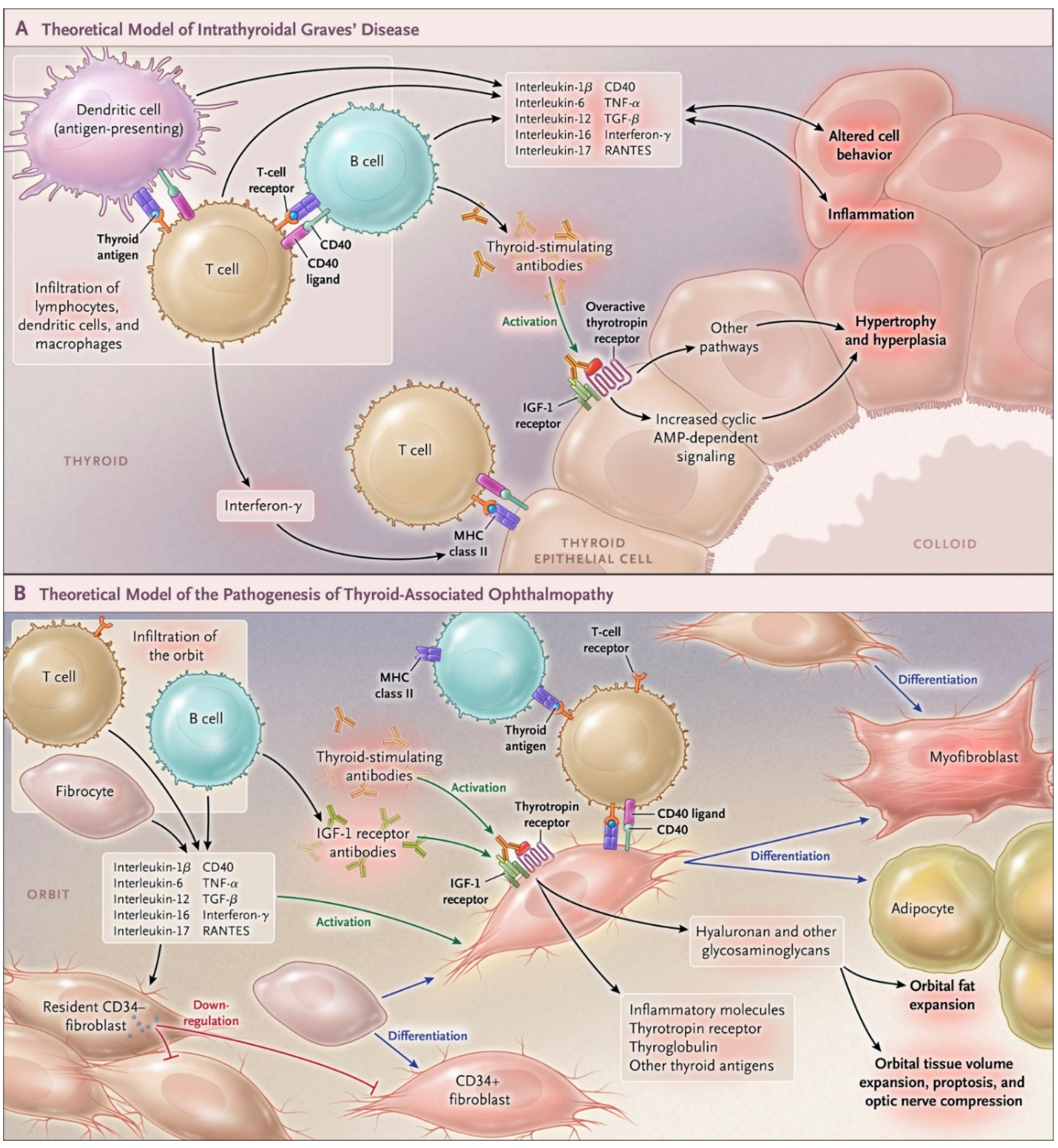 Cells 10 00383 g003 Cells 10 00383 g003