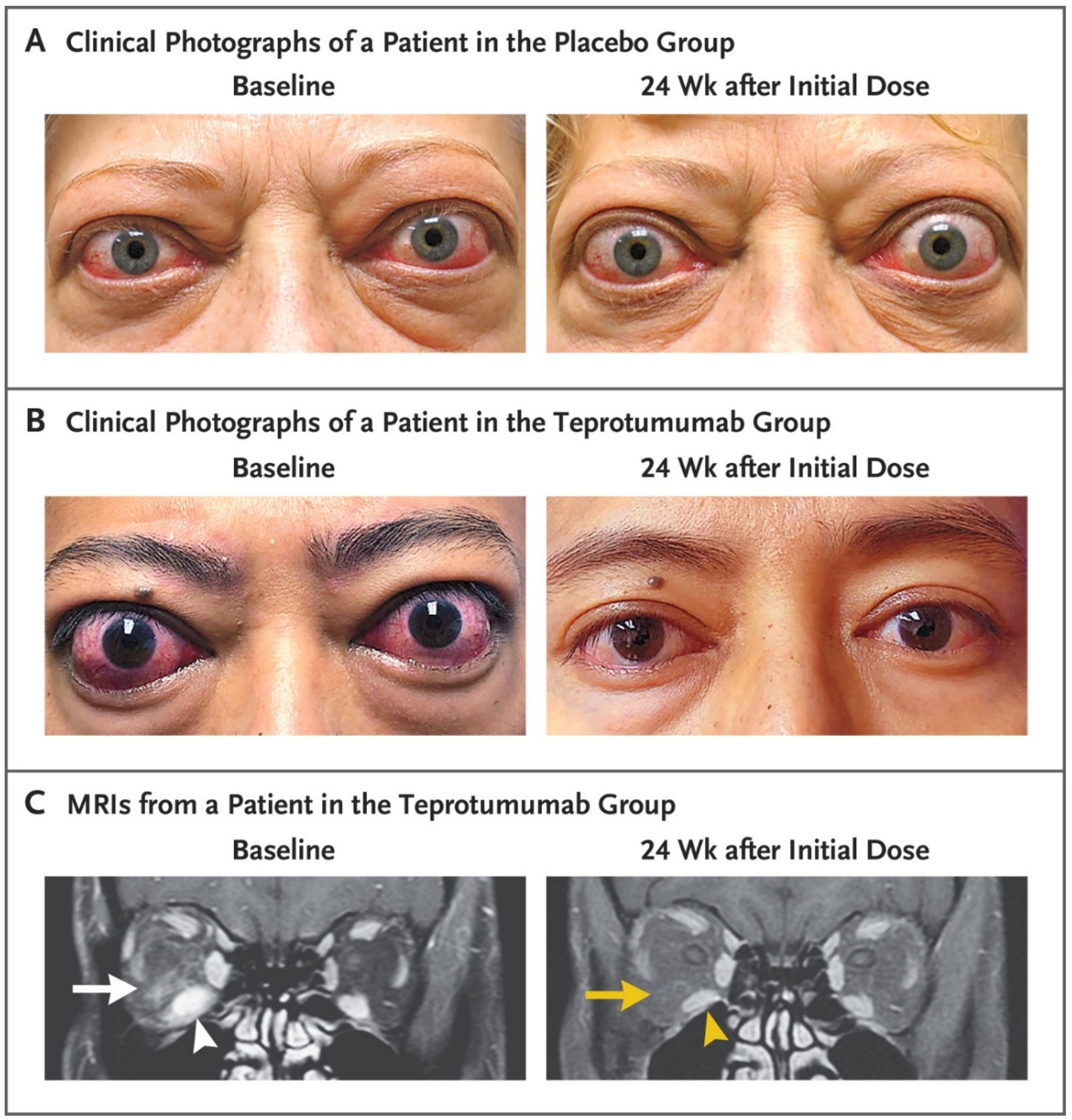 Cells 10 00383 g006 Cells 10 00383 g006