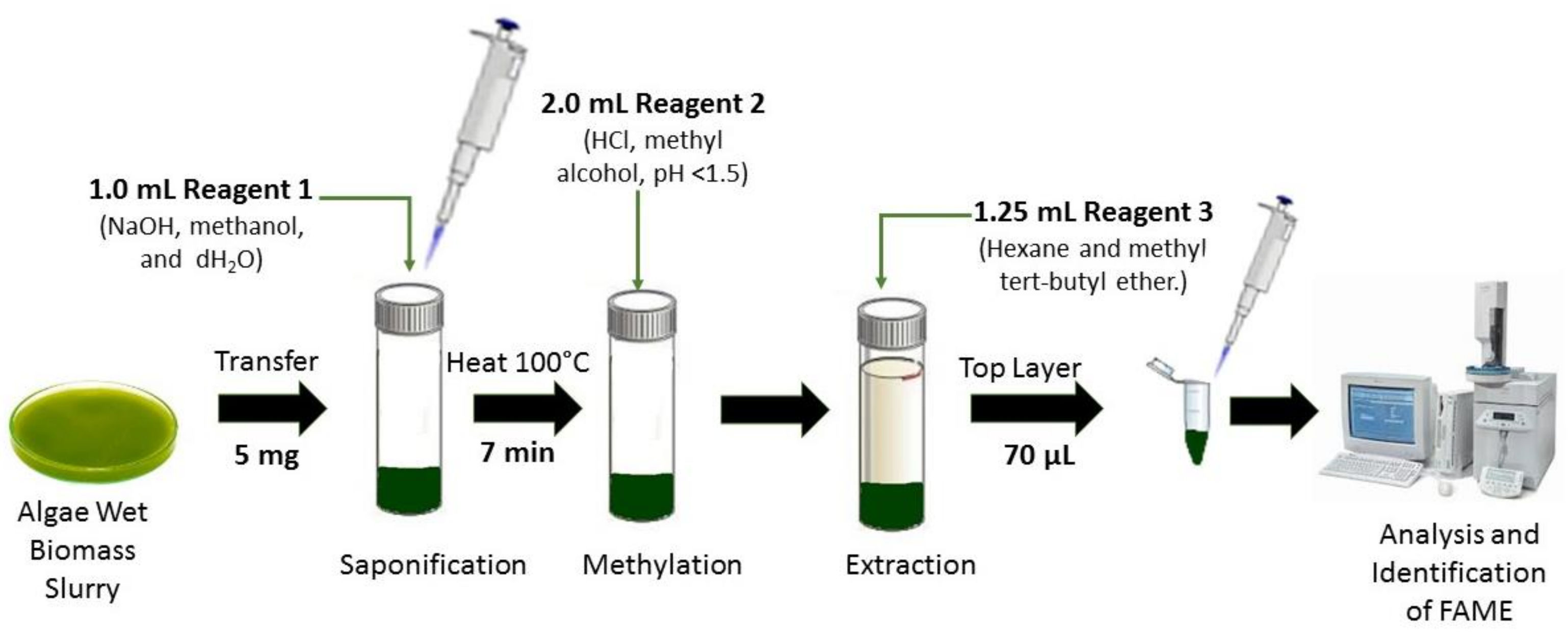 Cells 10 00393 g007 Cells 10 00393 g007