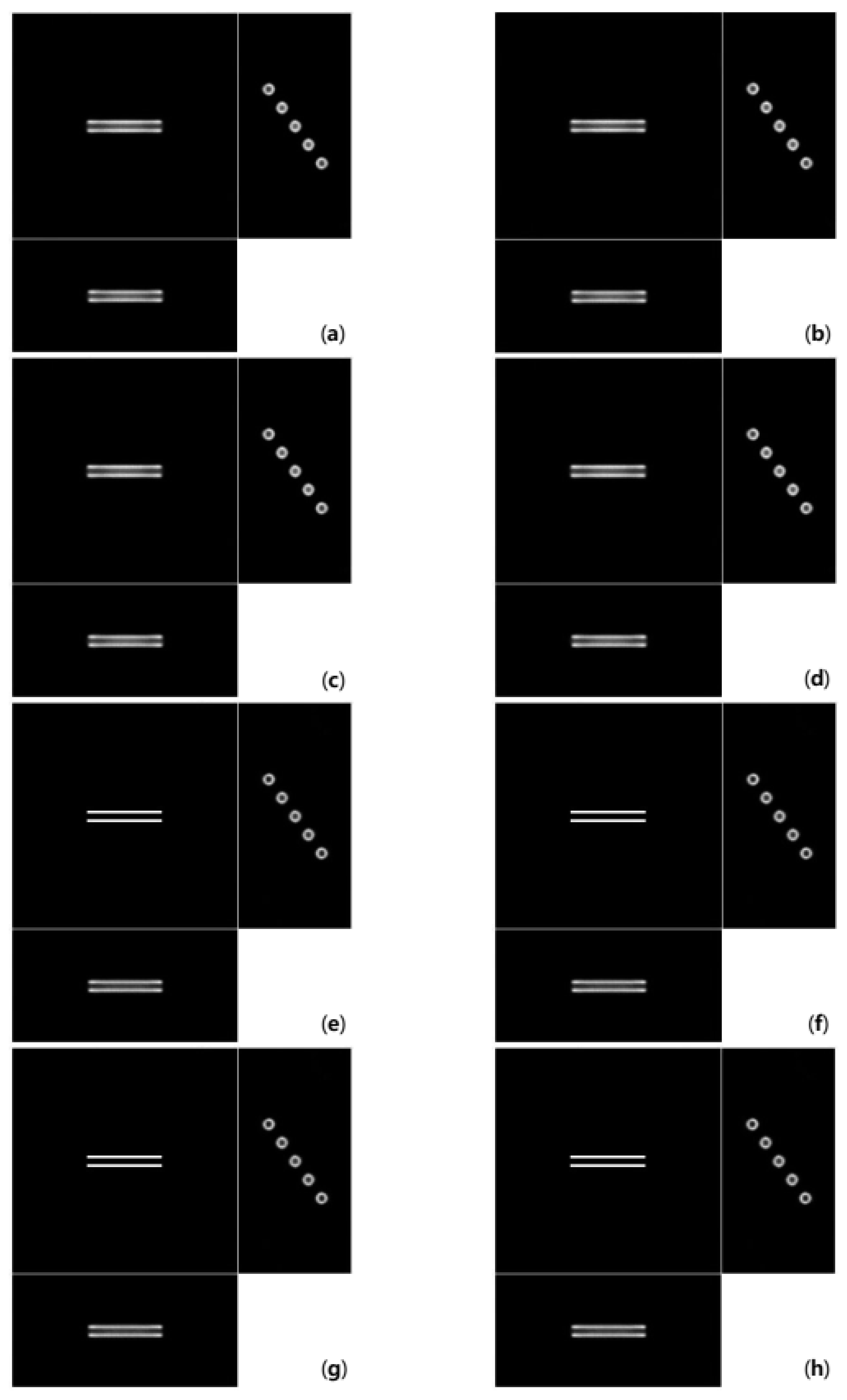 Cells 10 00397 g006 Cells 10 00397 g006