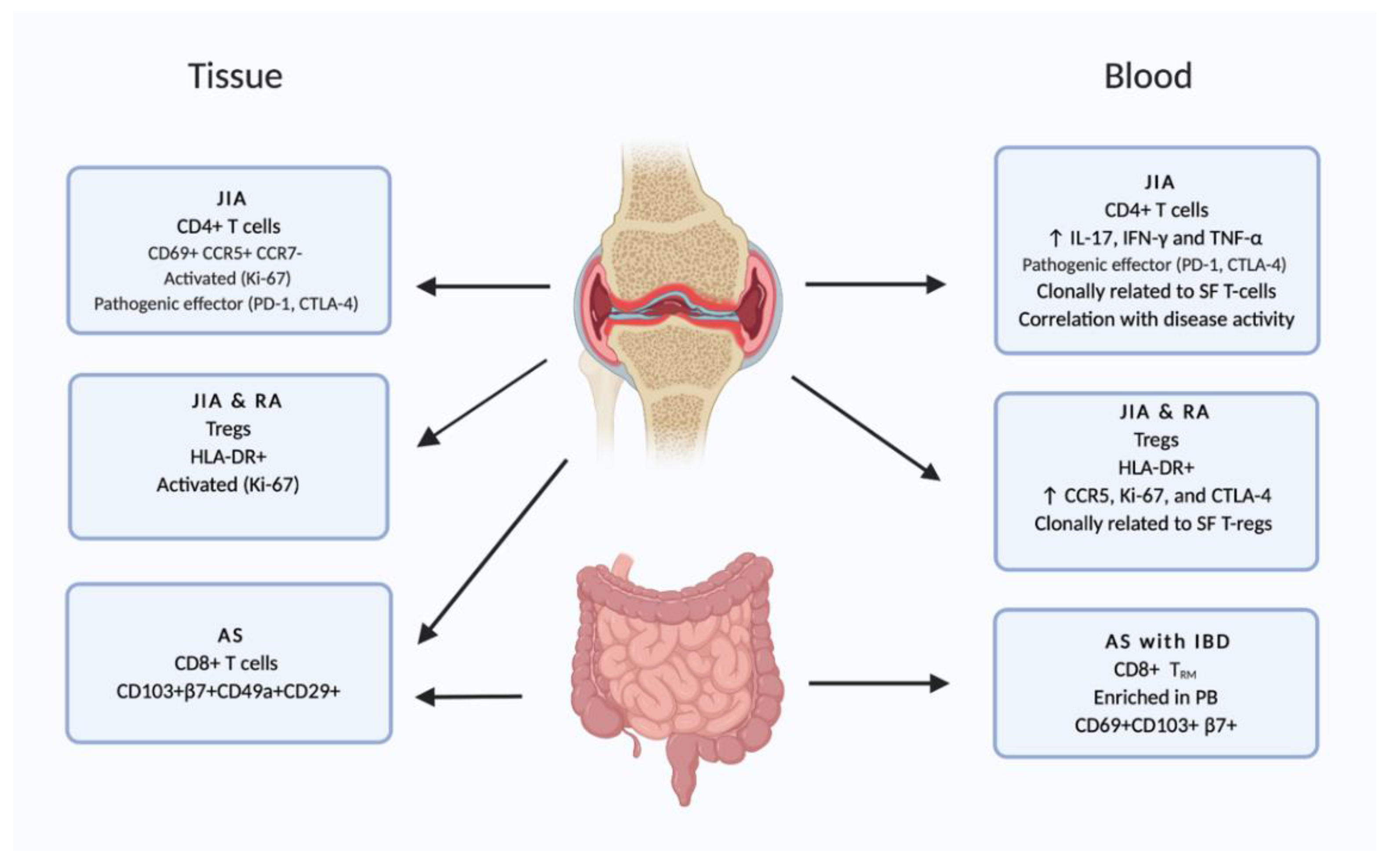 Cells 10 00409 g003 Cells 10 00409 g003