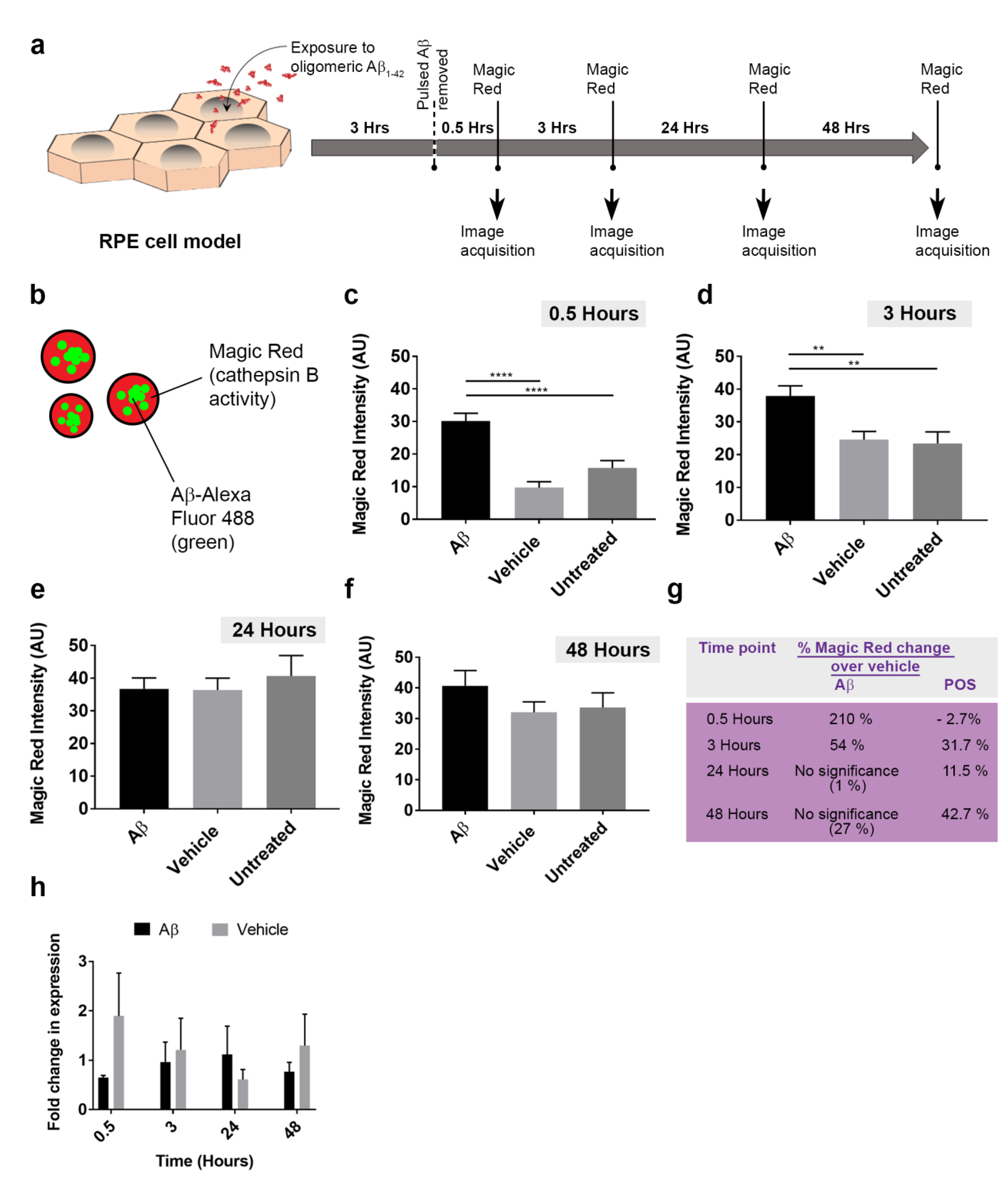Cells 10 00413 g007 Cells 10 00413 g007