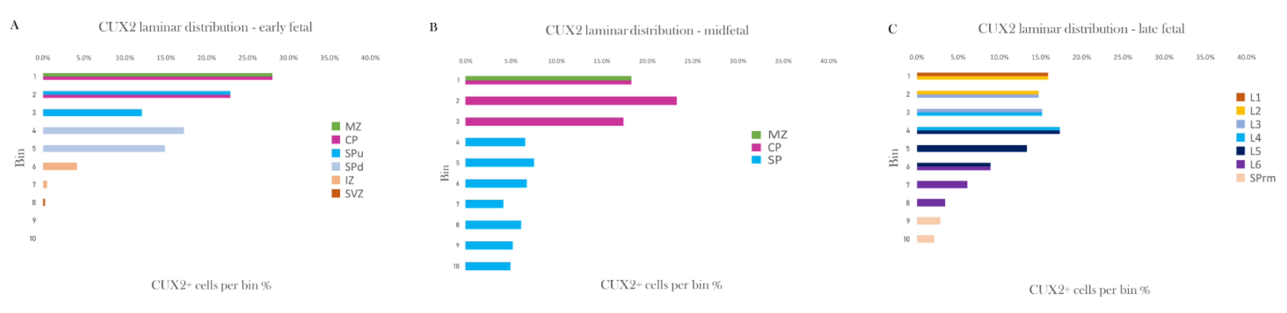 Cells 10 00415 g010 Cells 10 00415 g010
