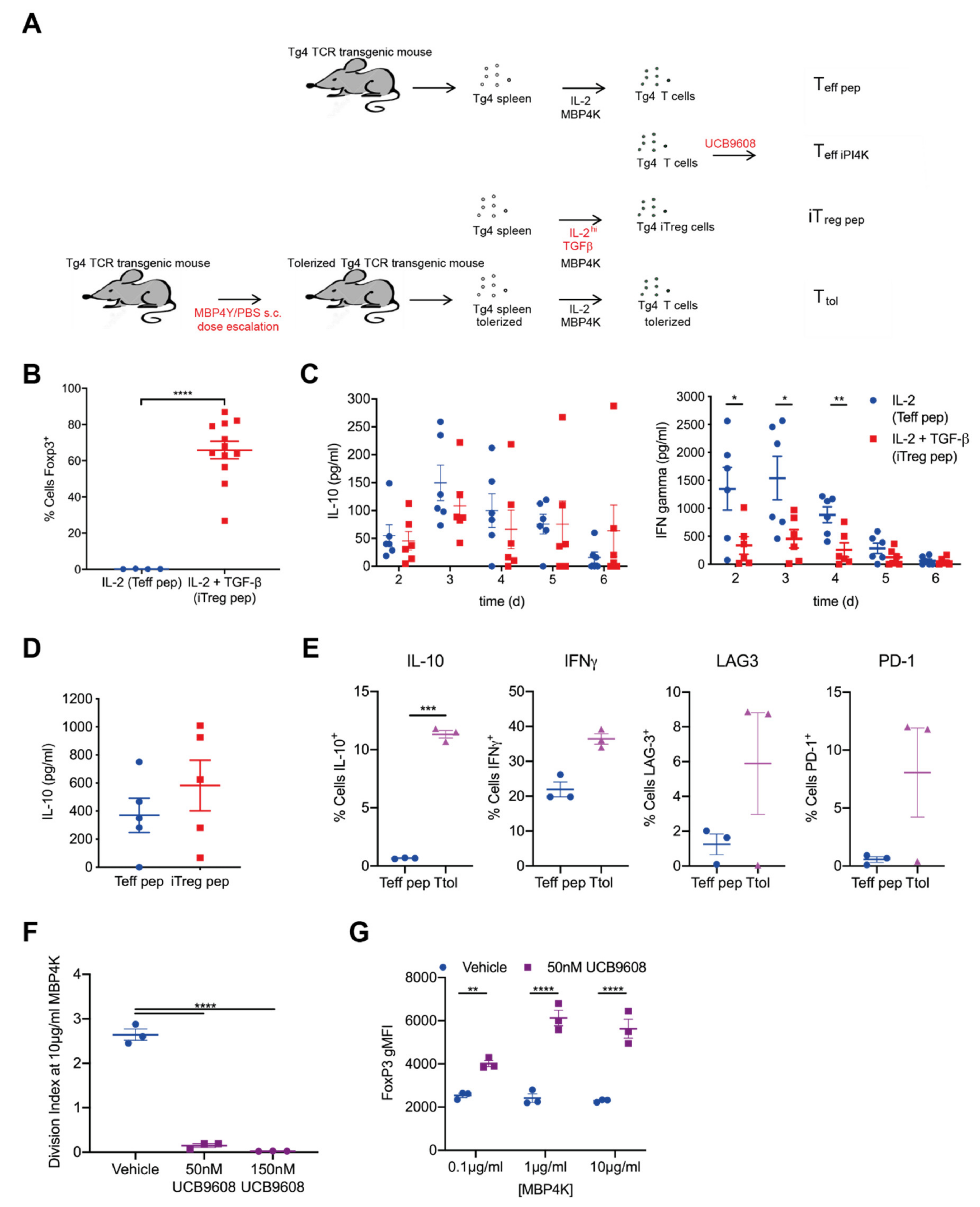 Cells 10 00418 g001 Cells 10 00418 g001