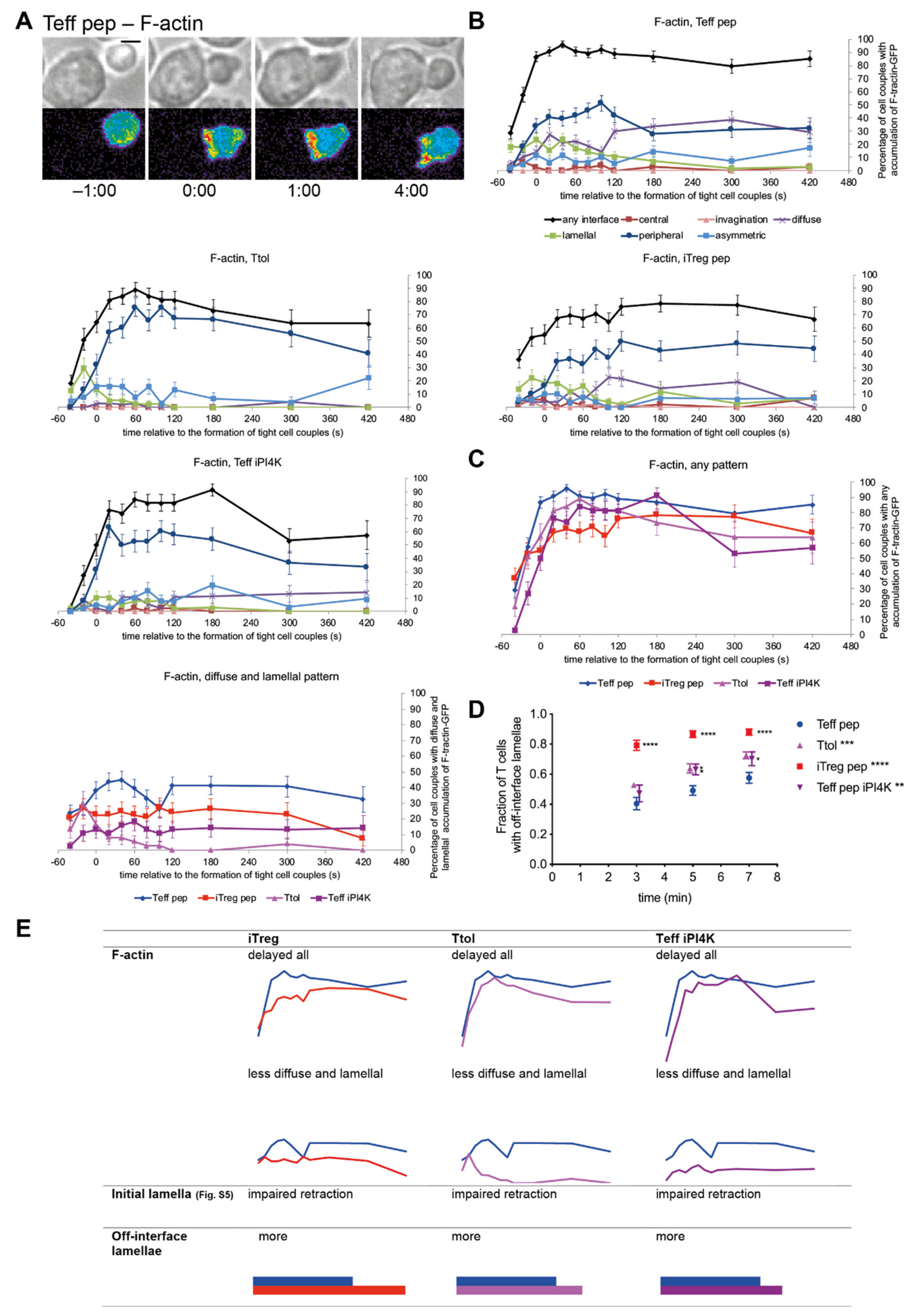Cells 10 00418 g005 Cells 10 00418 g005