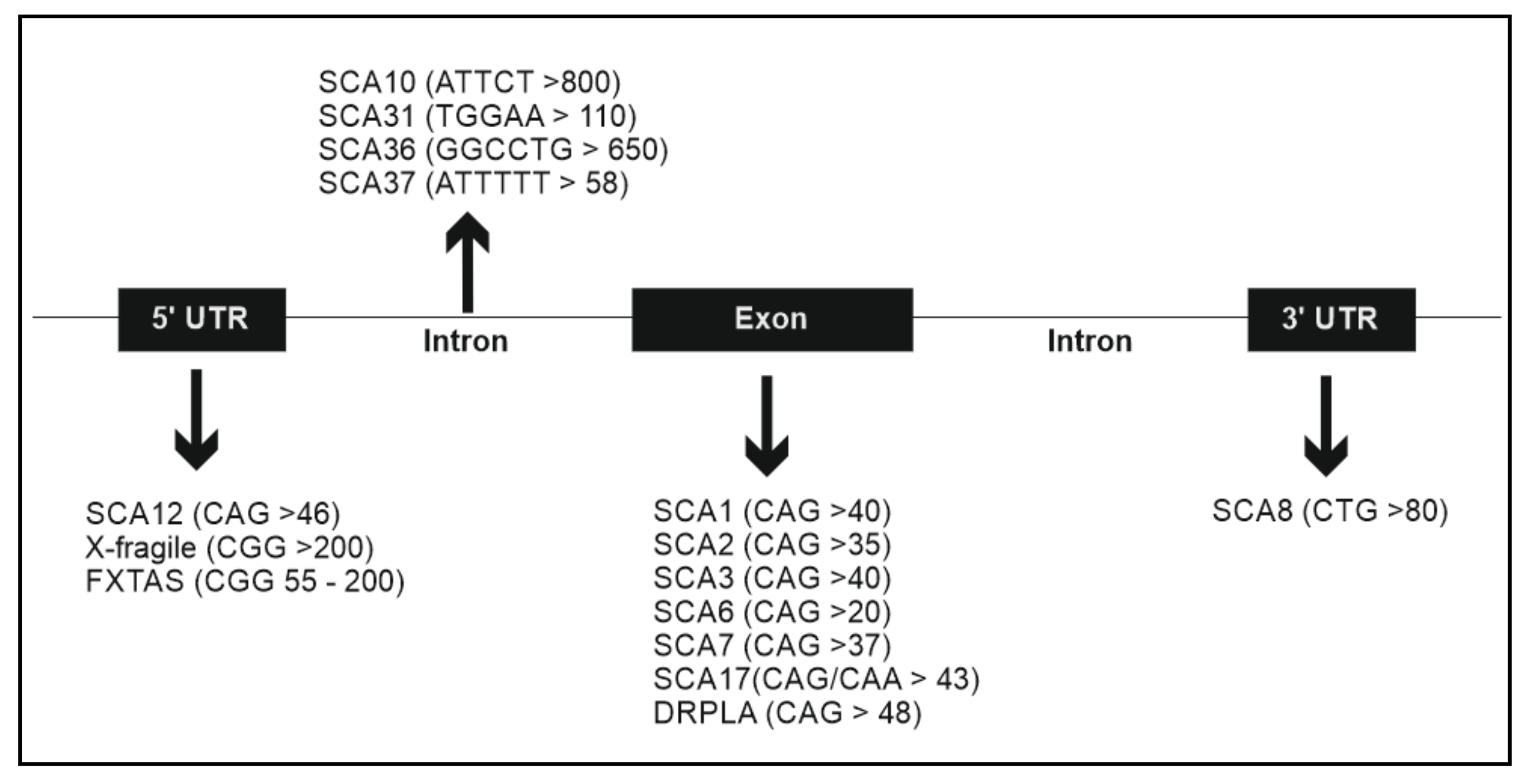 Cells 10 00421 g001 Cells 10 00421 g001