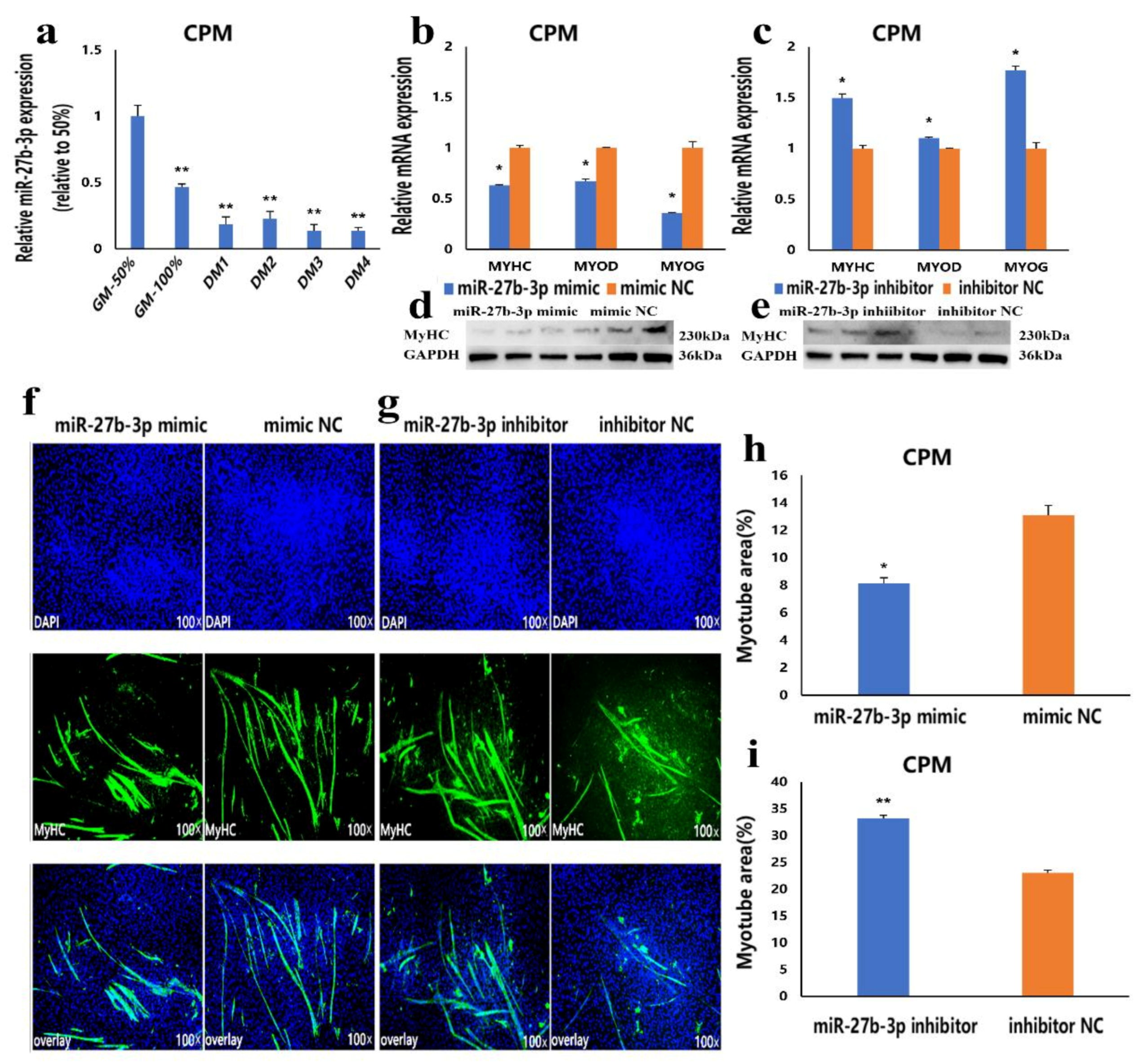 Cells 10 00423 g003 Cells 10 00423 g003