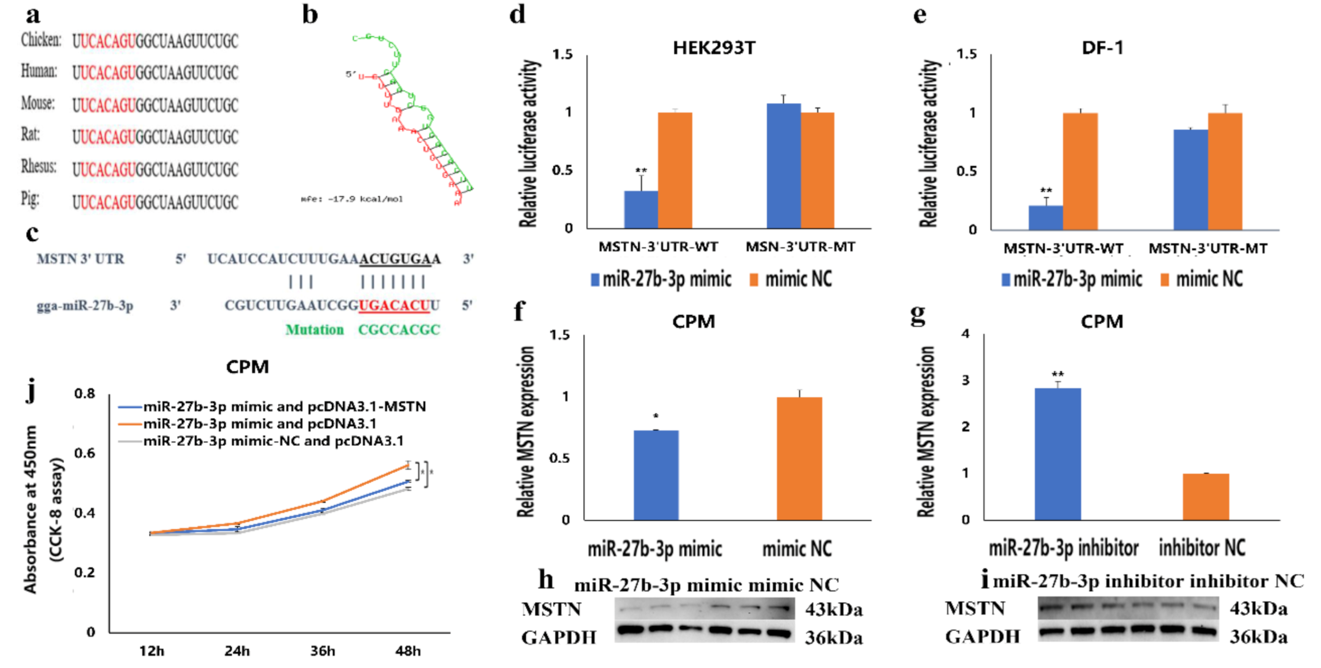 Cells 10 00423 g004 Cells 10 00423 g004