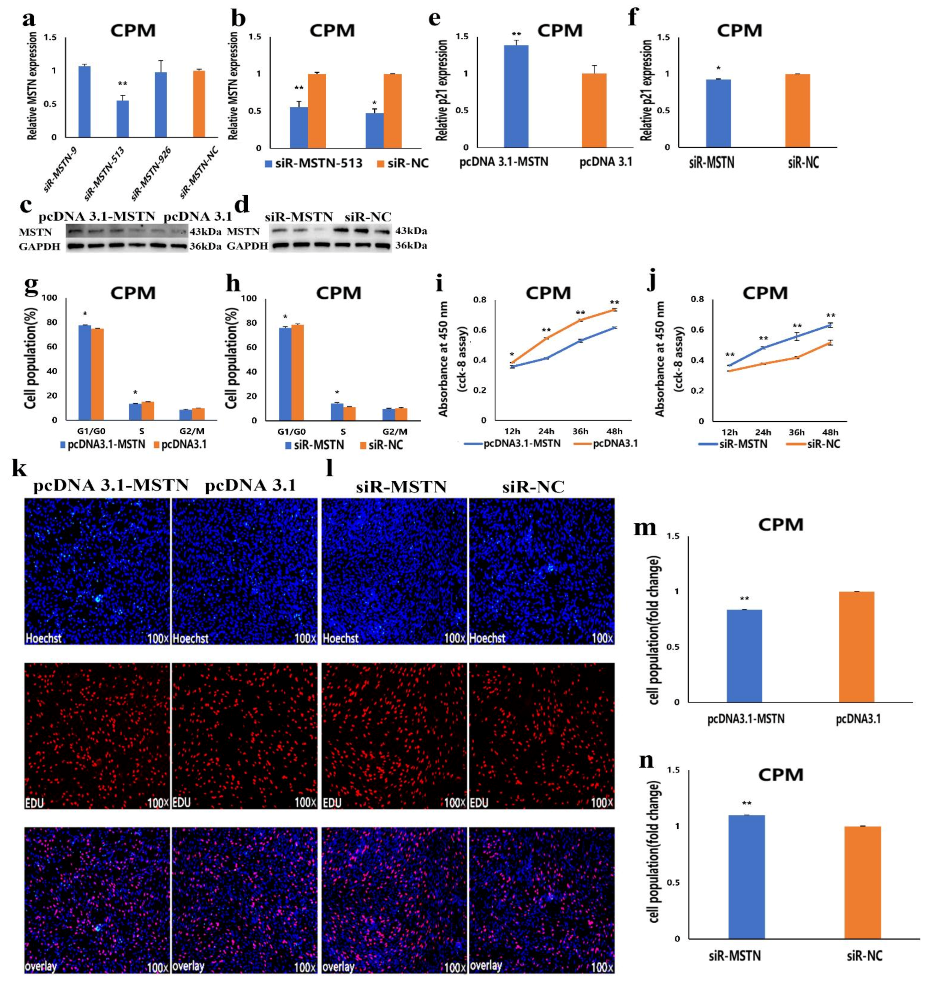 Cells 10 00423 g005 Cells 10 00423 g005