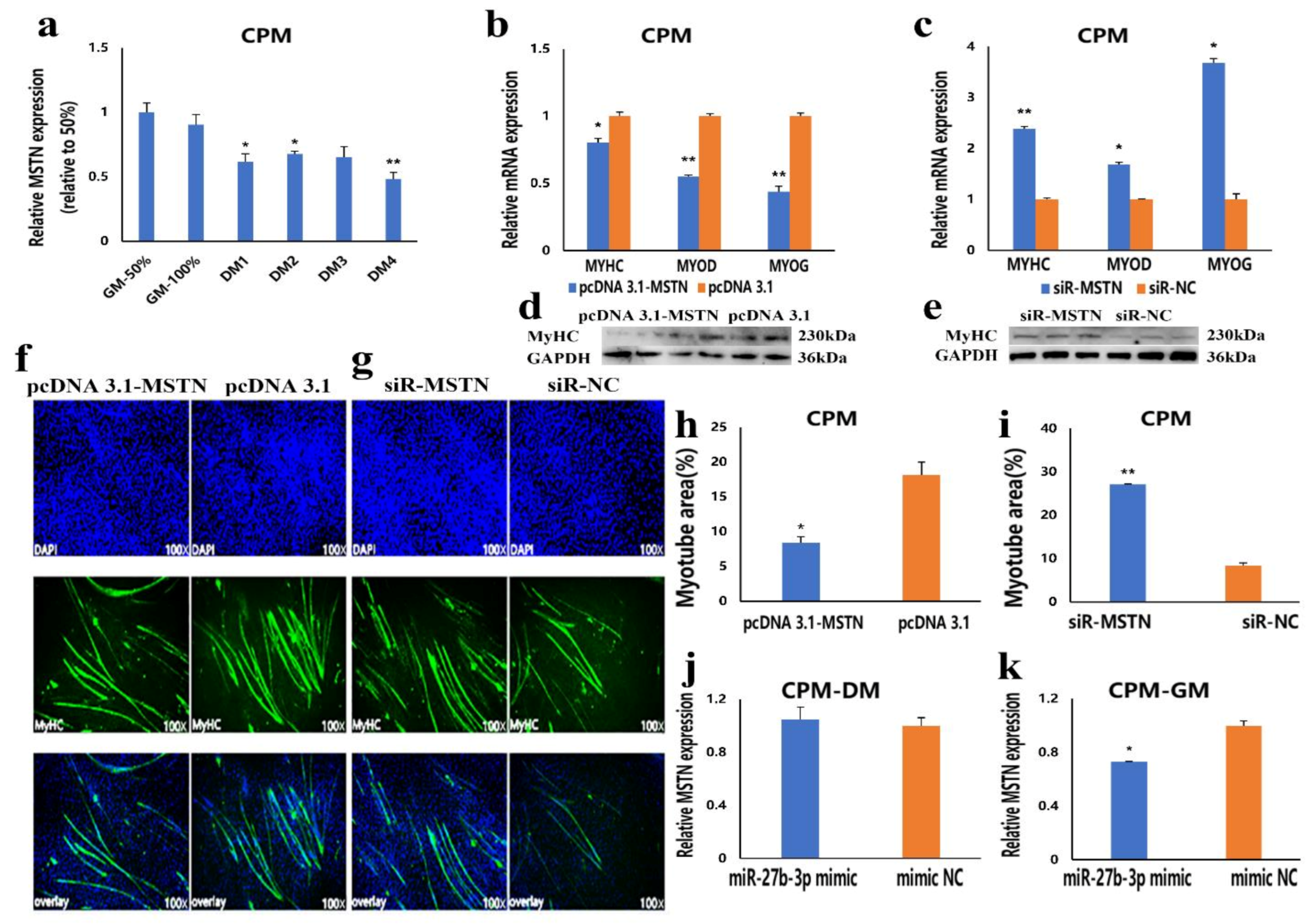 Cells 10 00423 g006 Cells 10 00423 g006