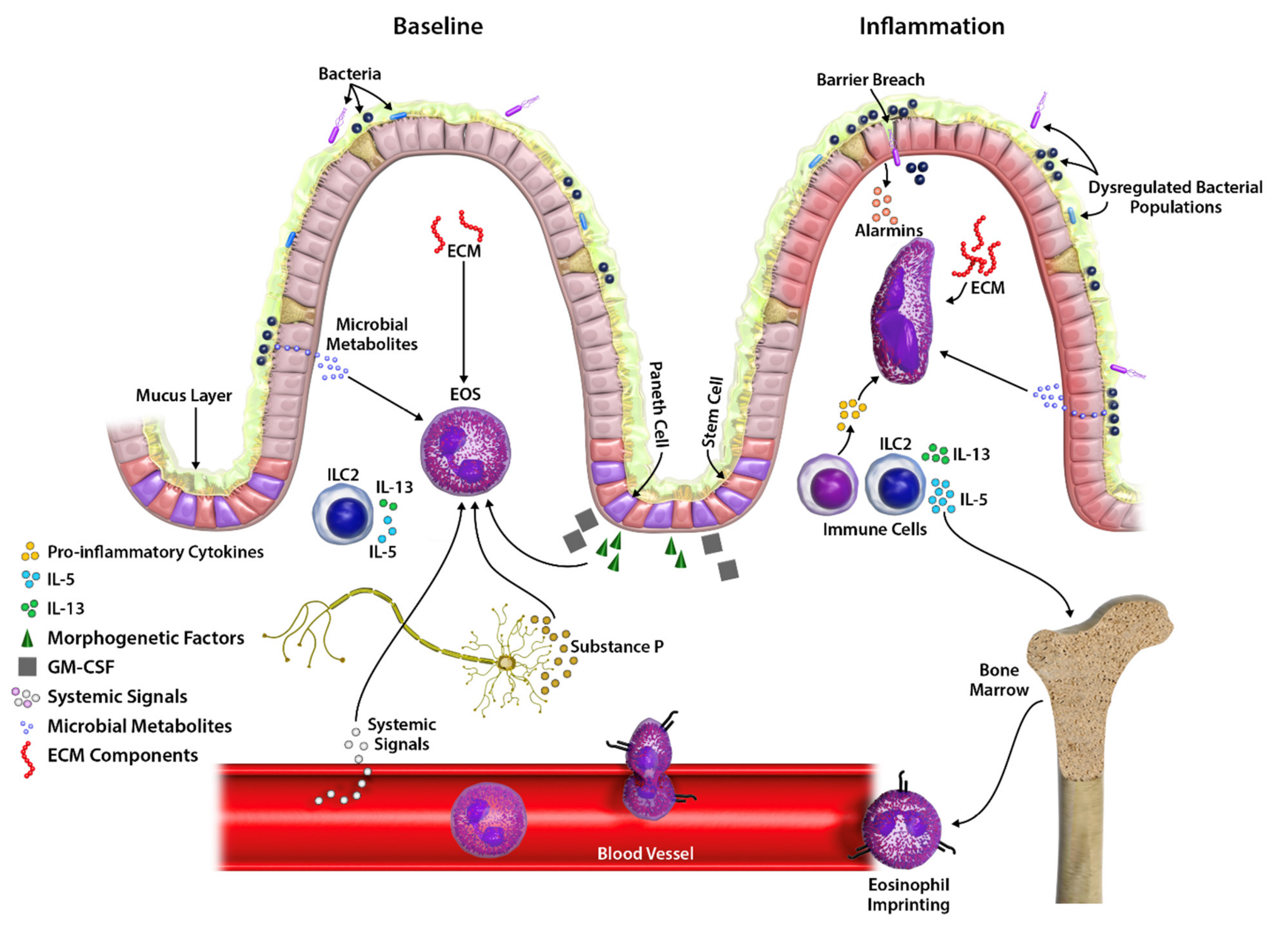 Cells 10 00426 g002 Cells 10 00426 g002