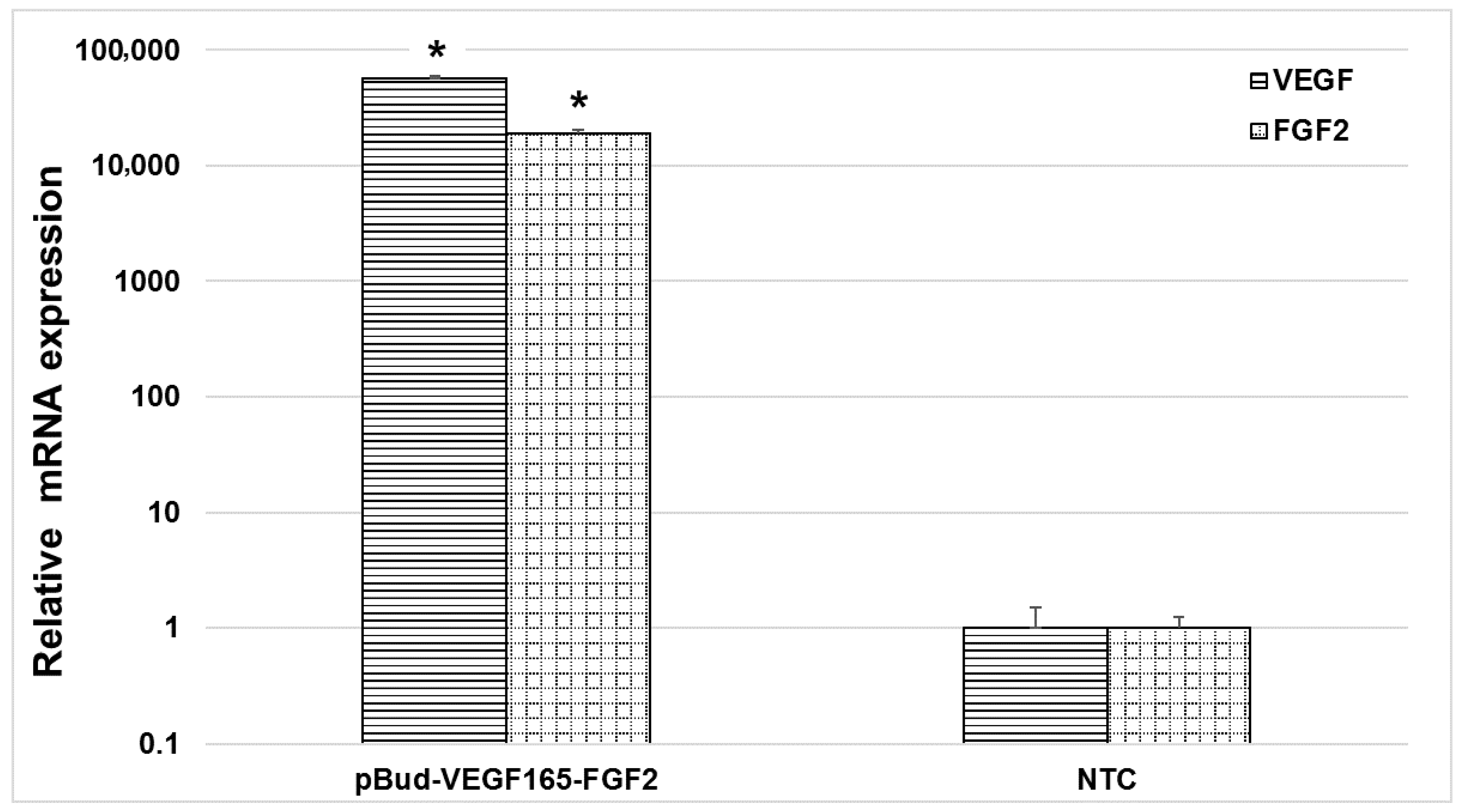 Cells 10 00432 g003 Cells 10 00432 g003