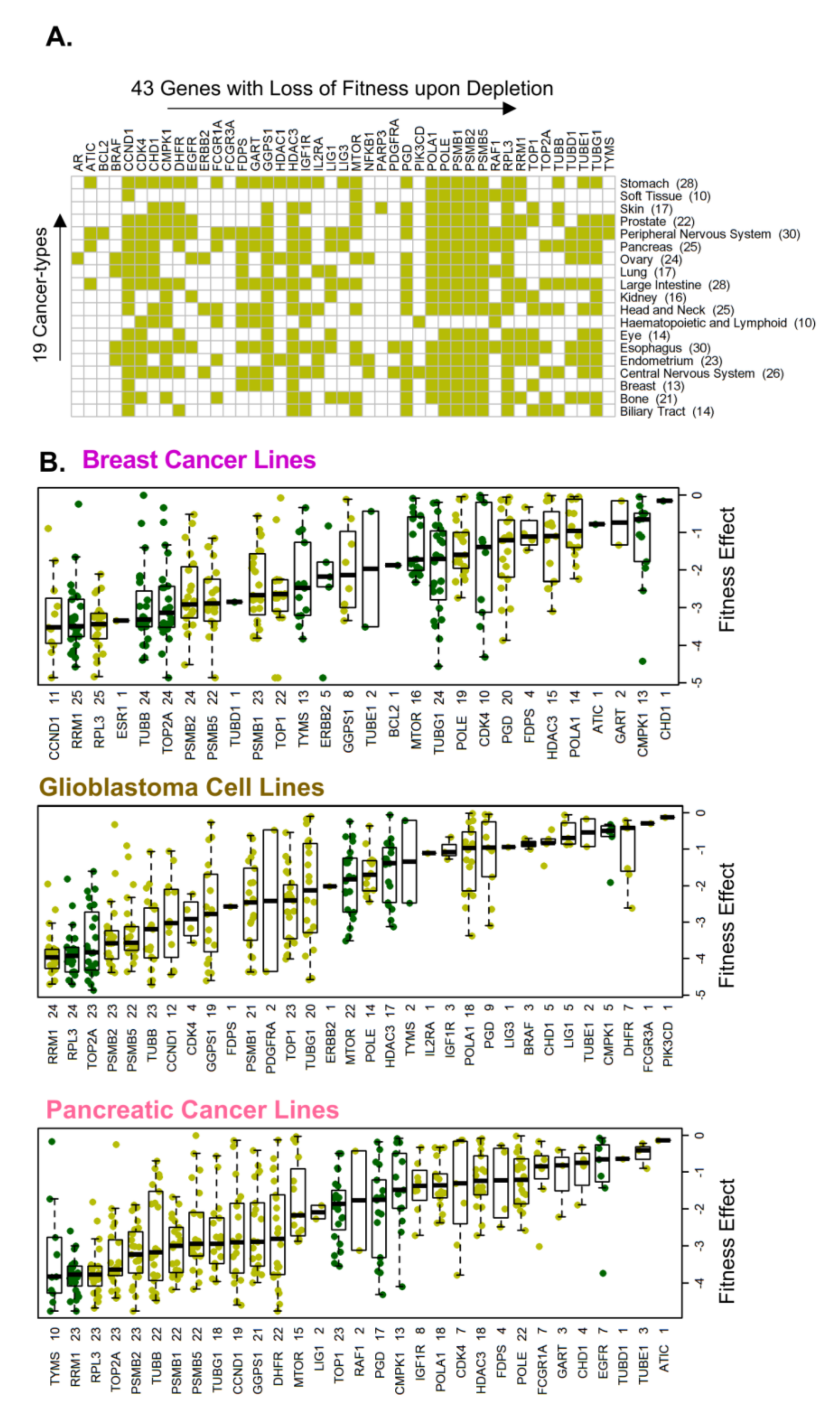 Cells 10 00433 g003 Cells 10 00433 g003