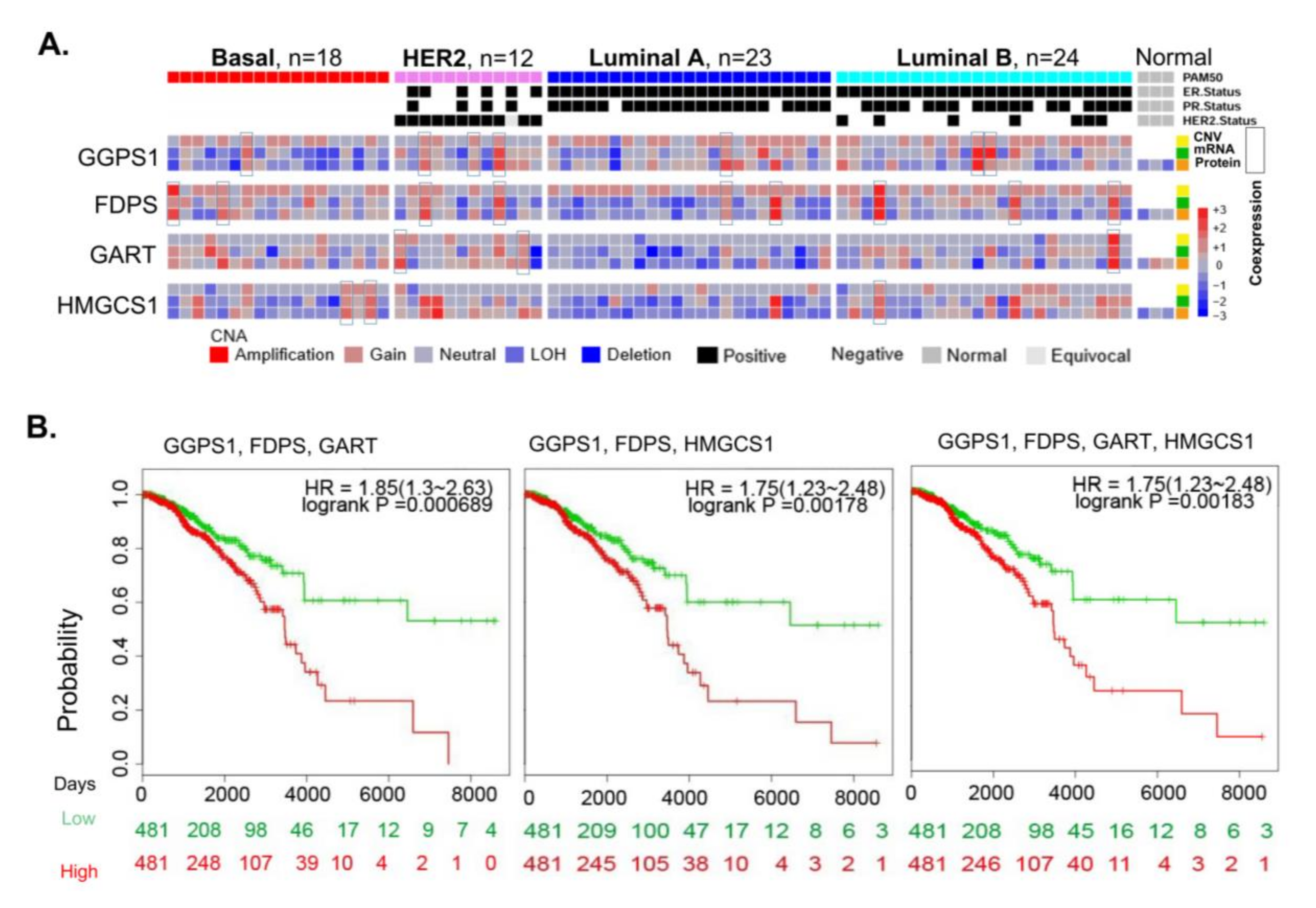 Cells 10 00433 g005 Cells 10 00433 g005