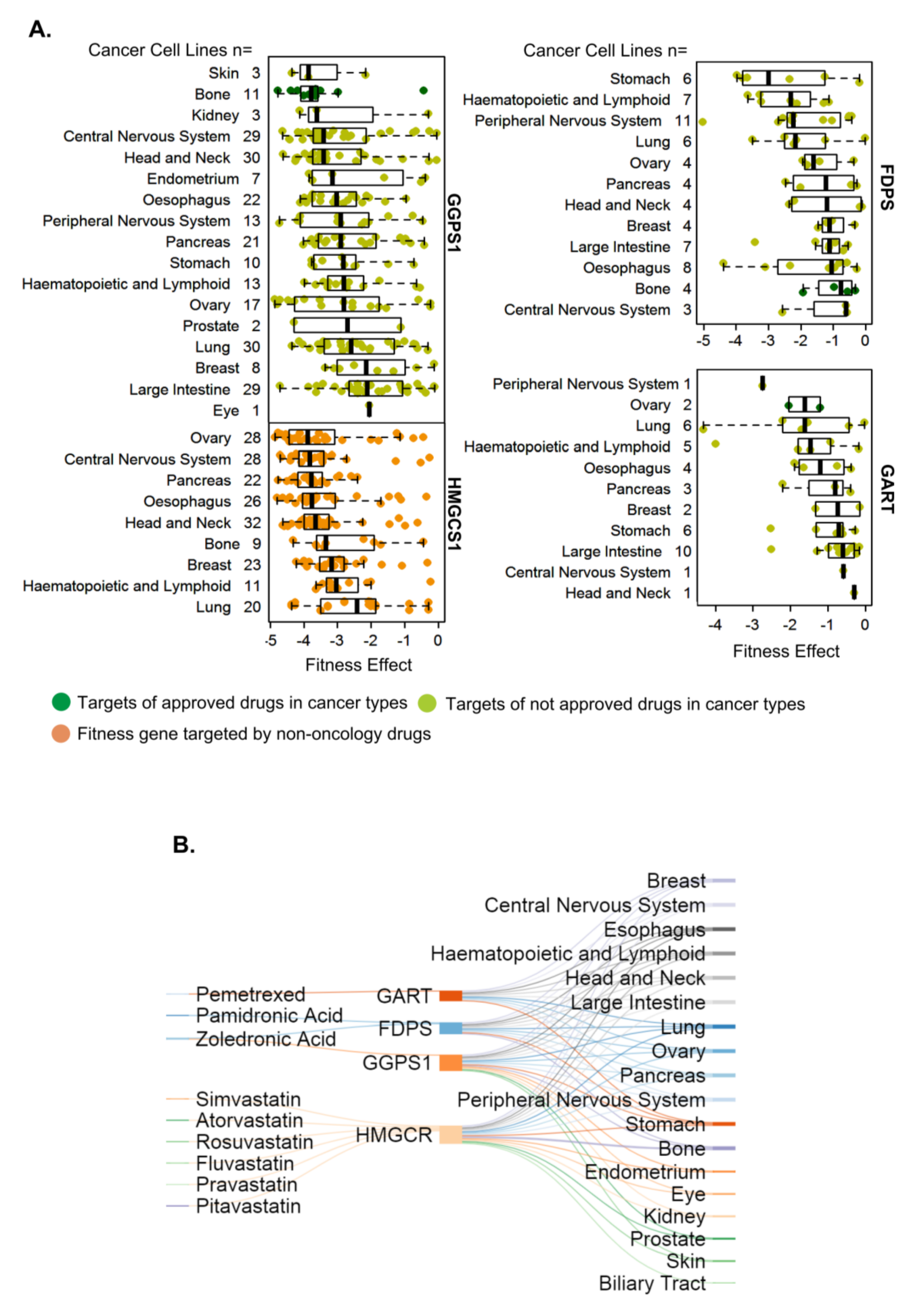 Cells 10 00433 g006 Cells 10 00433 g006