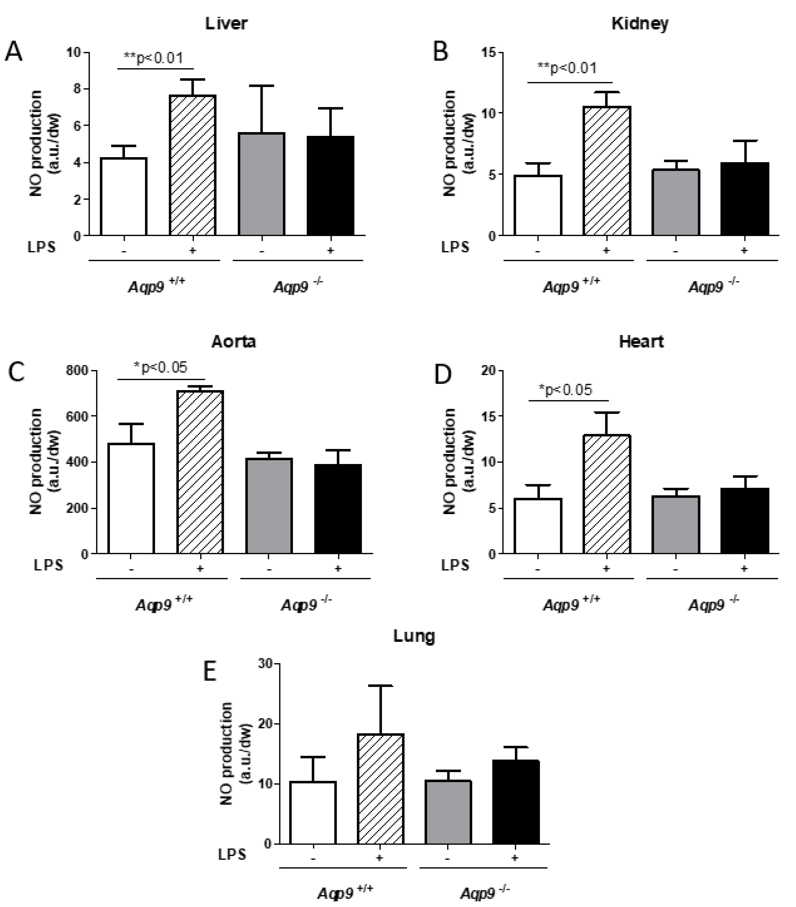 Cells 10 00435 g002 Cells 10 00435 g002