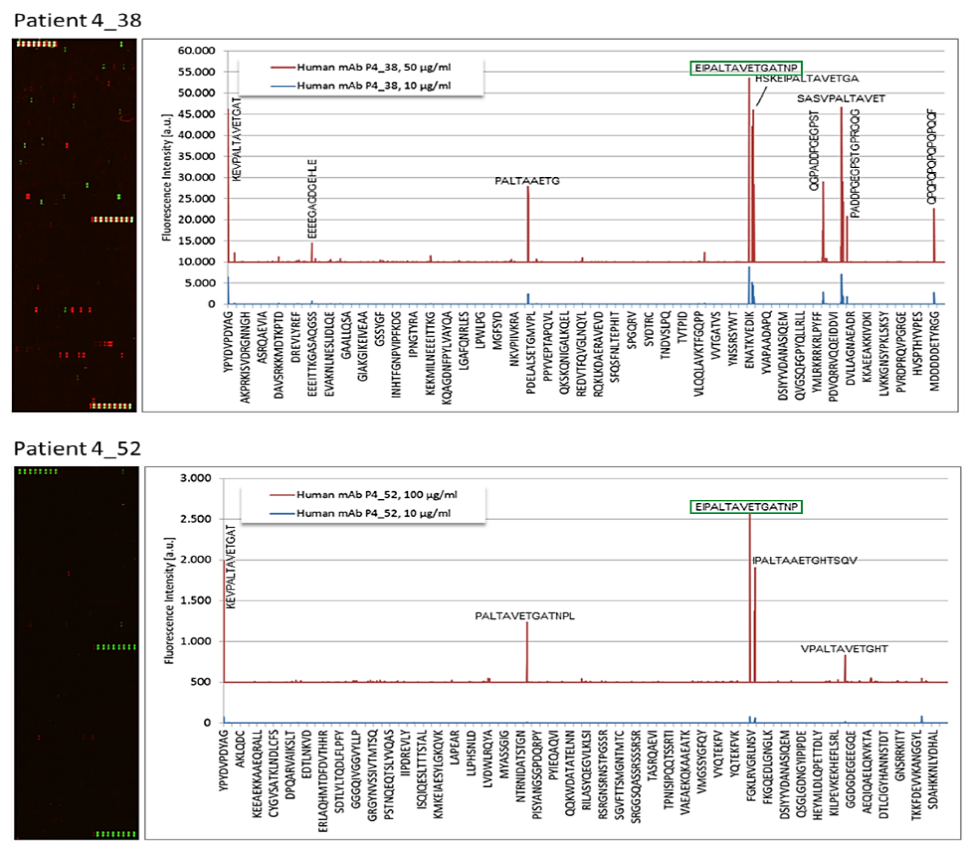 Cells 10 00438 g001 Cells 10 00438 g001