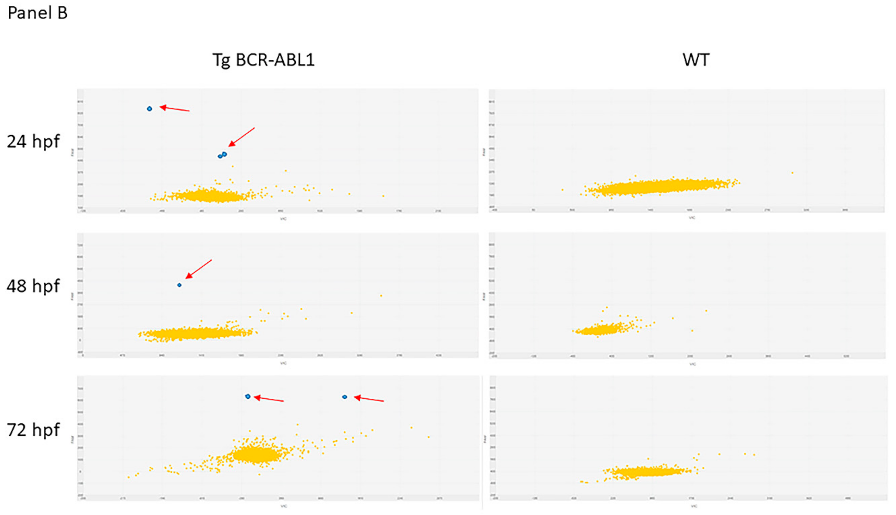 Cells 10 00445 g001b