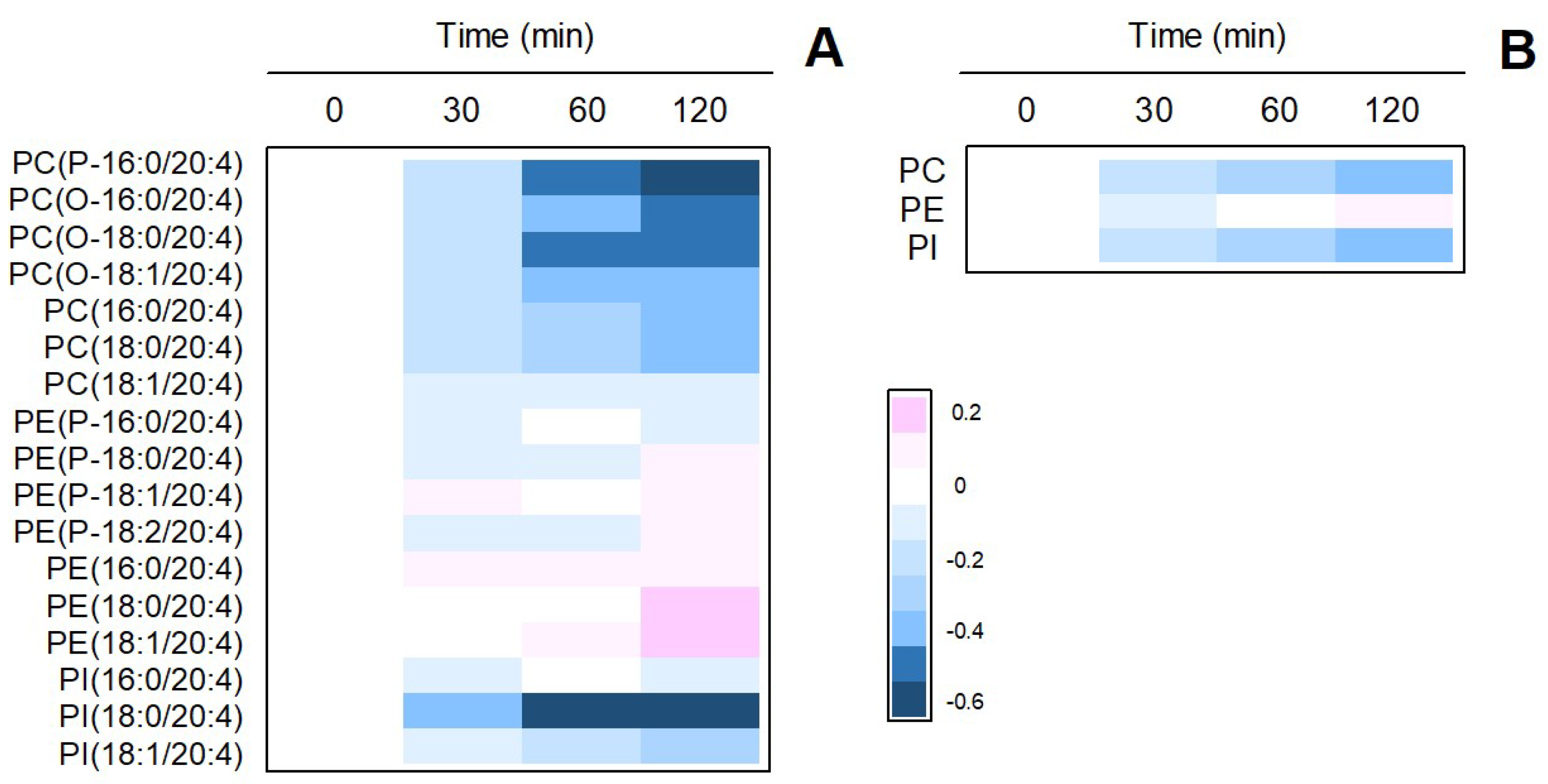 Cells 10 00447 g003 Cells 10 00447 g003