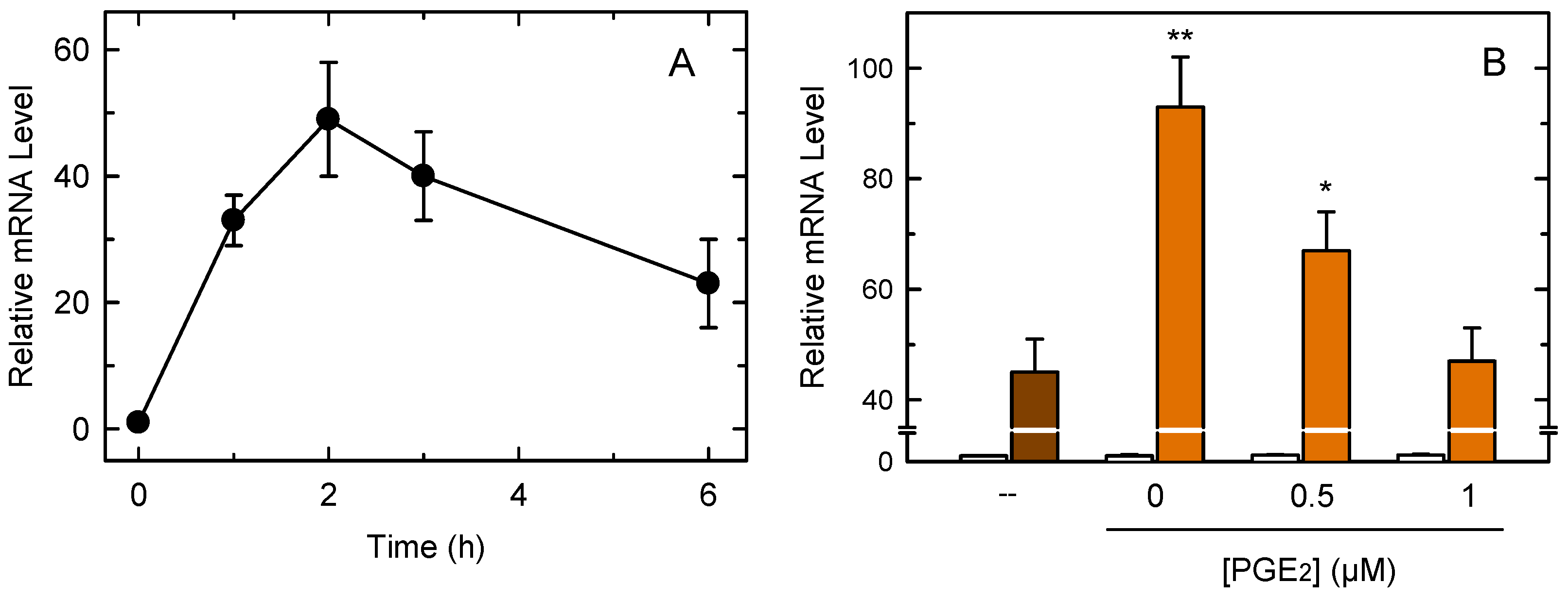 Cells 10 00447 g005 Cells 10 00447 g005