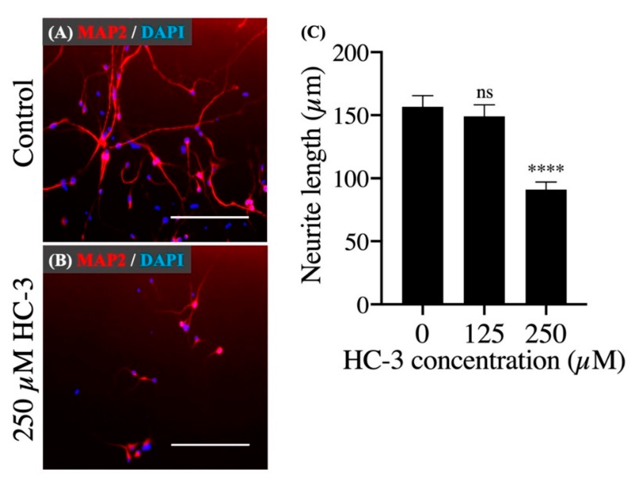 Cells 10 00453 g005 Cells 10 00453 g005