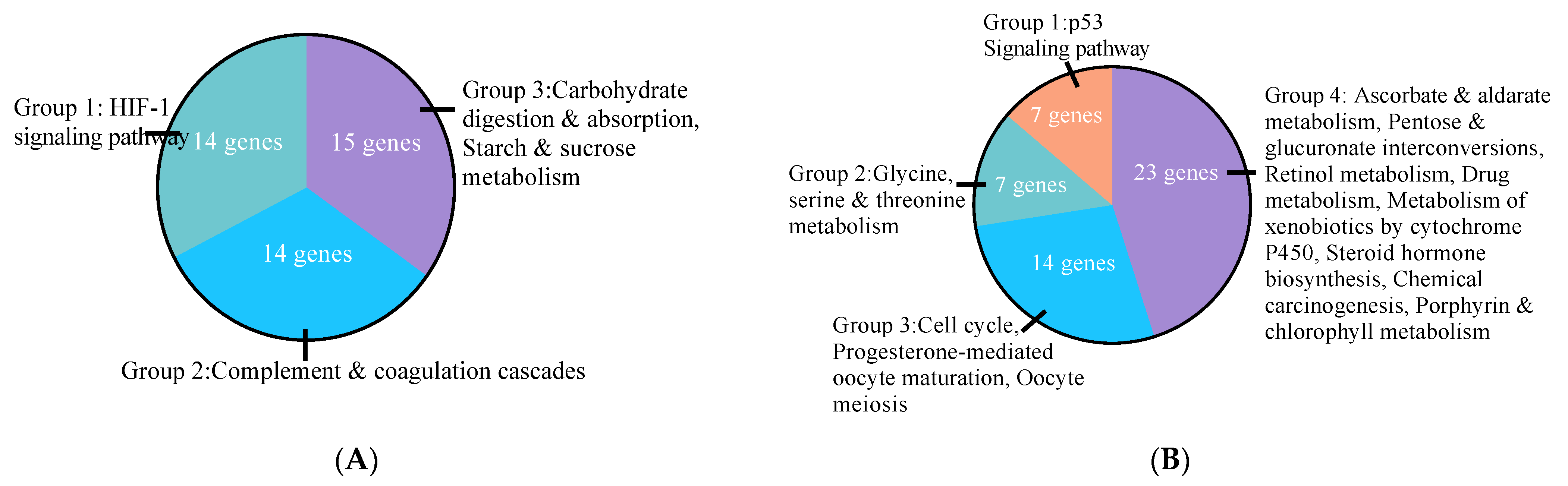 Cells 10 00455 g002a Cells 10 00455 g002a