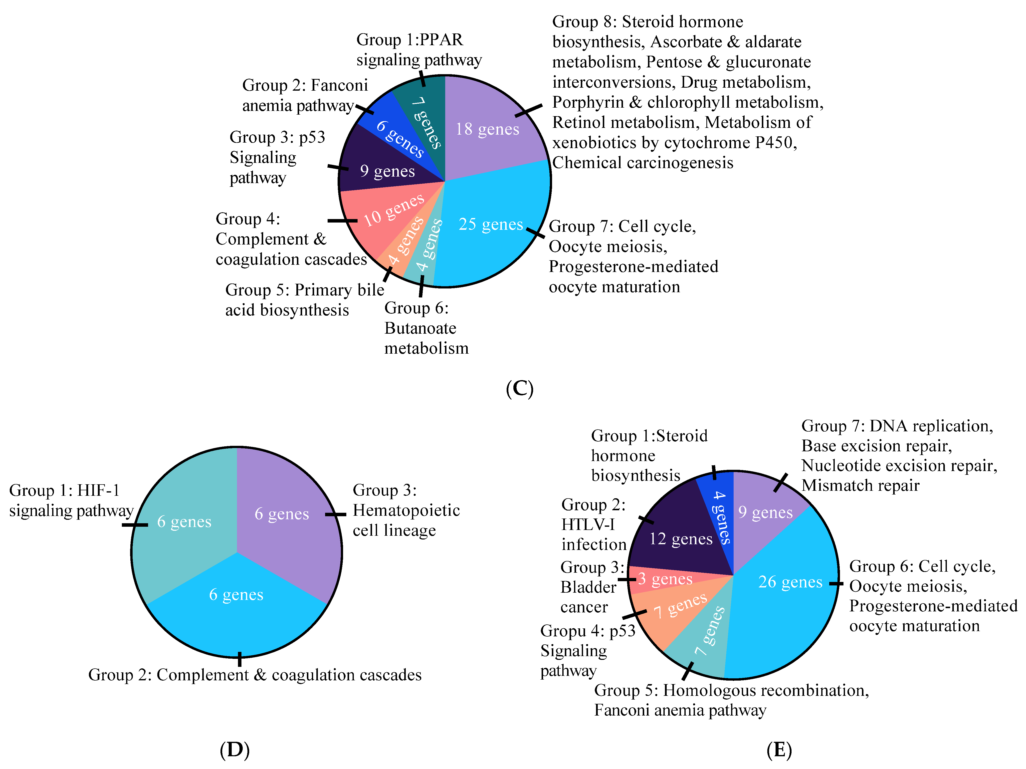 Cells 10 00455 g002b Cells 10 00455 g002b
