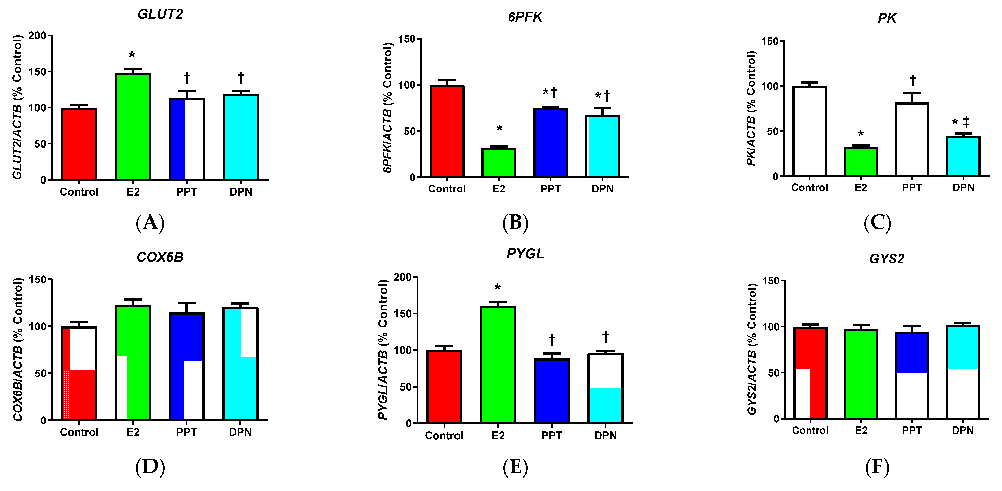 Cells 10 00455 g003a Cells 10 00455 g003a