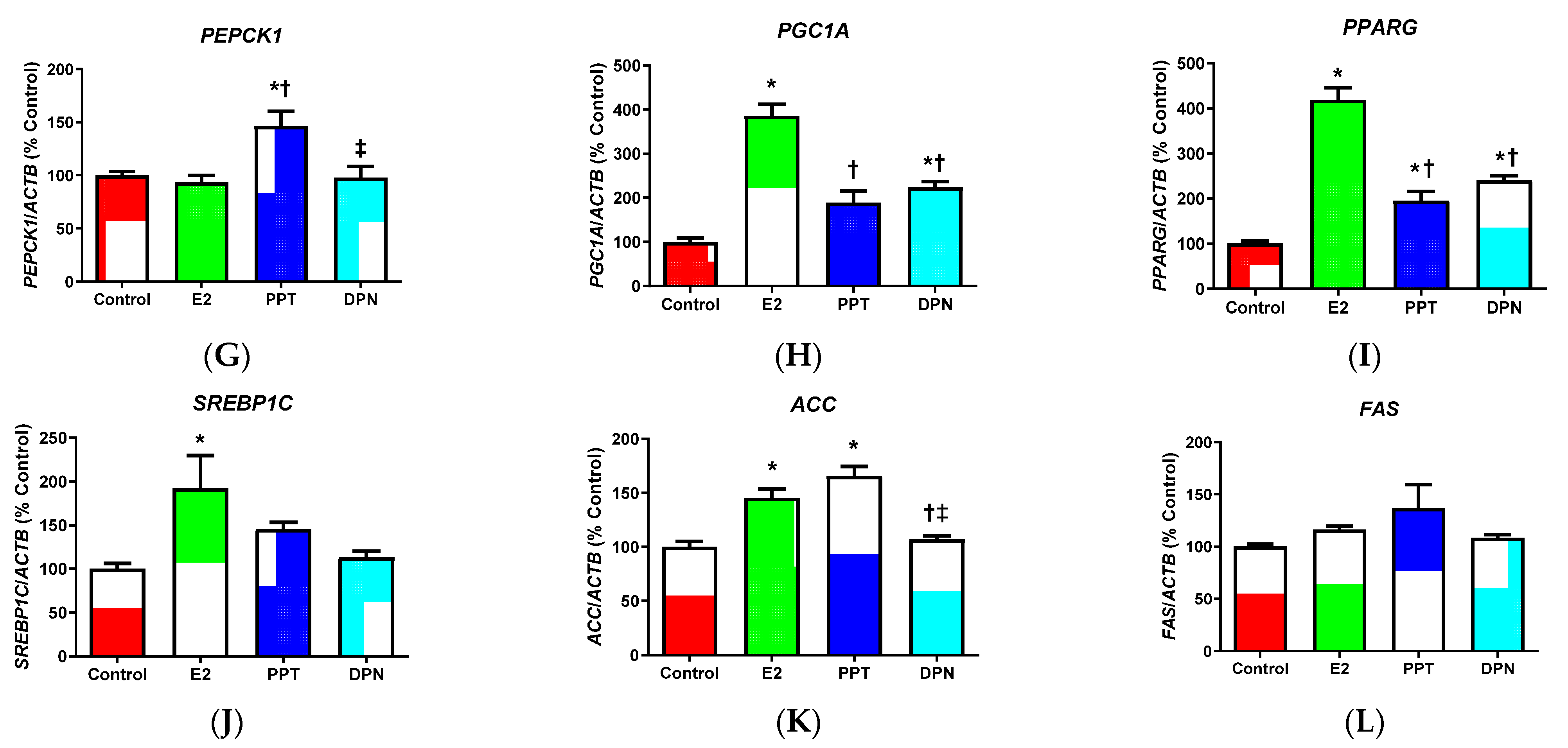 Cells 10 00455 g003b Cells 10 00455 g003b