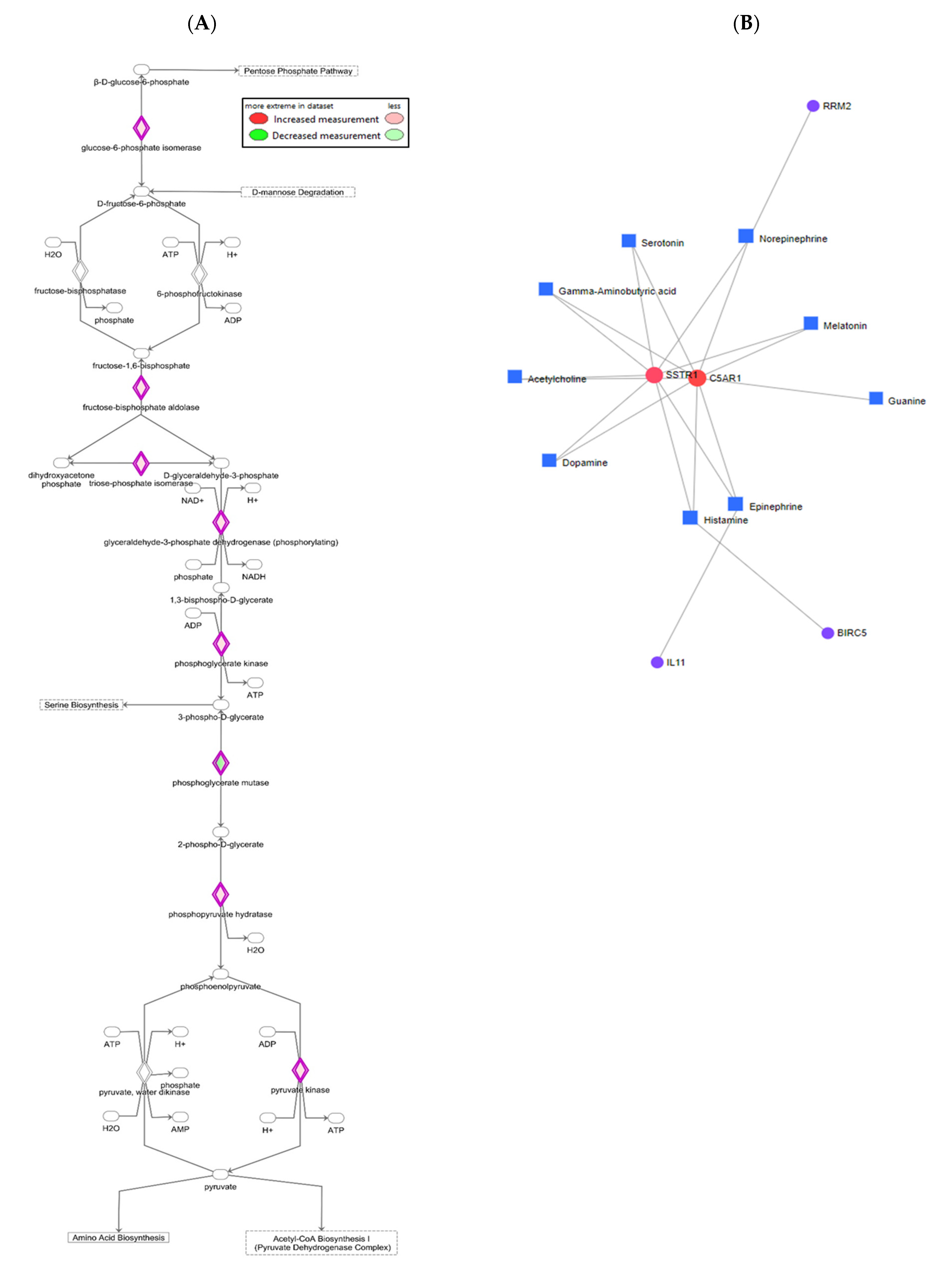 Cells 10 00455 g006 Cells 10 00455 g006