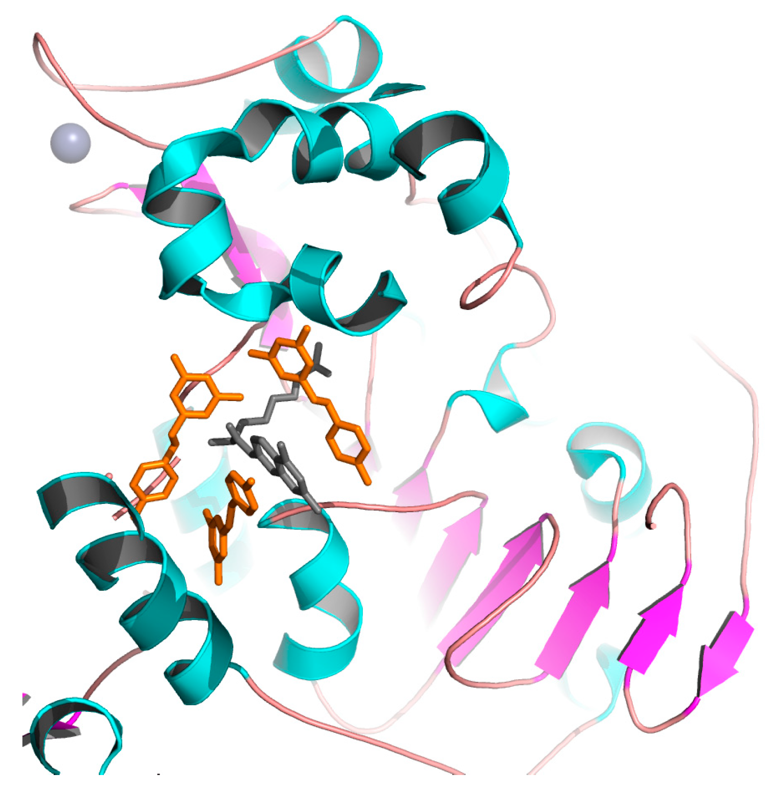 Cells 10 00460 g007 Cells 10 00460 g007