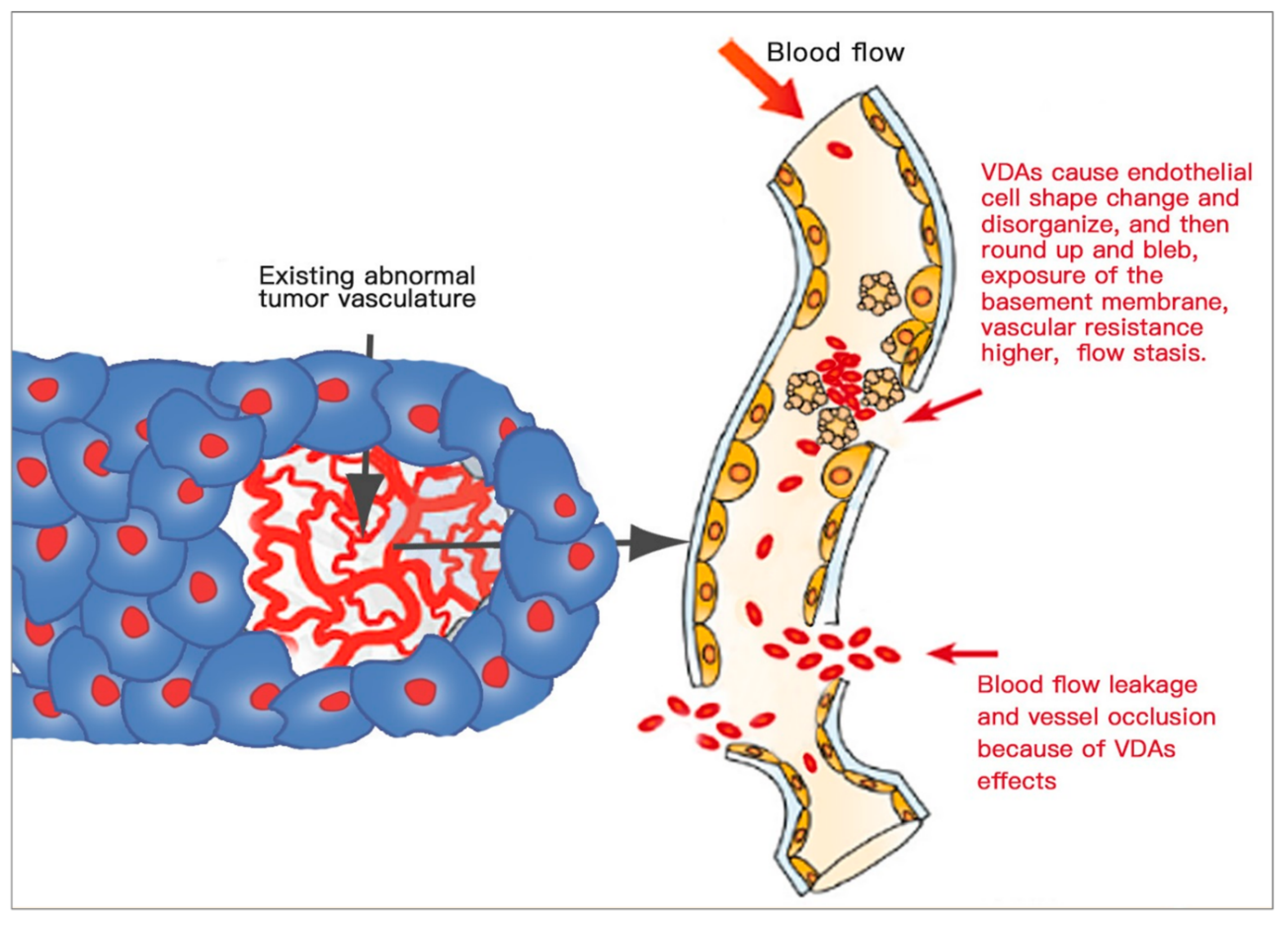 Cells 10 00463 g008 Cells 10 00463 g008