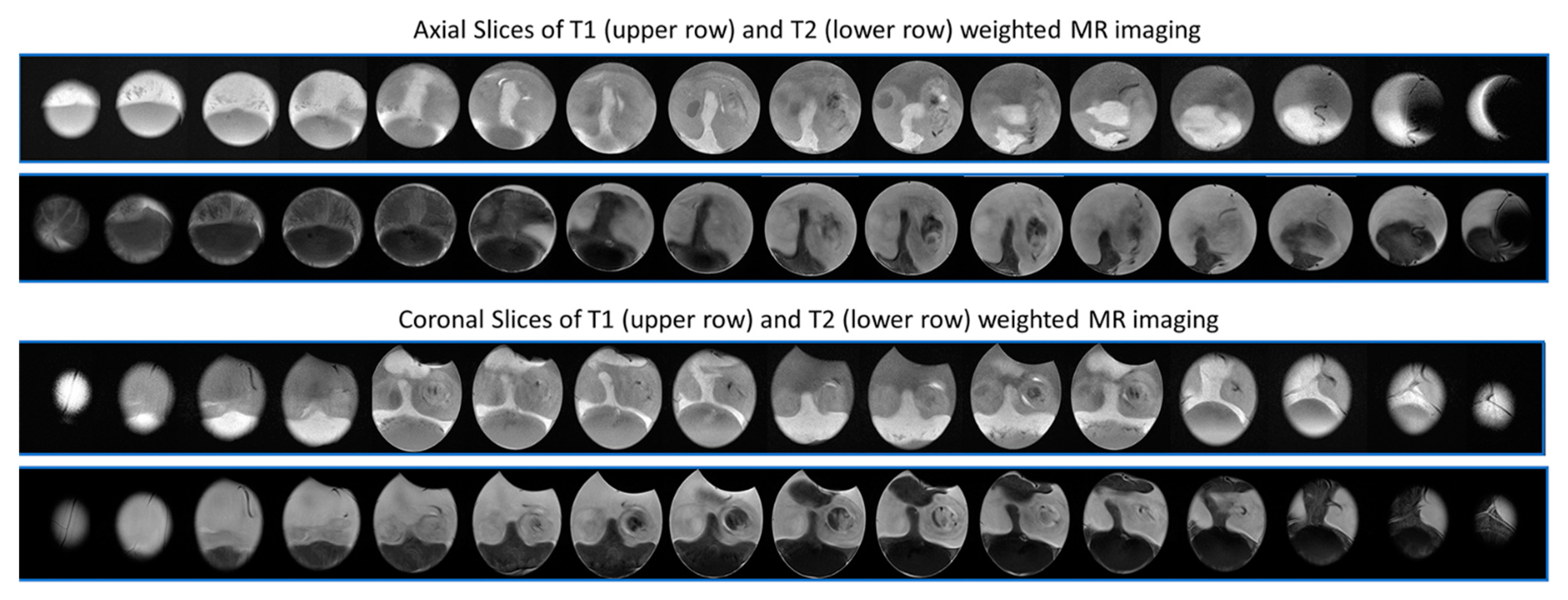 Cells 10 00463 g009 Cells 10 00463 g009