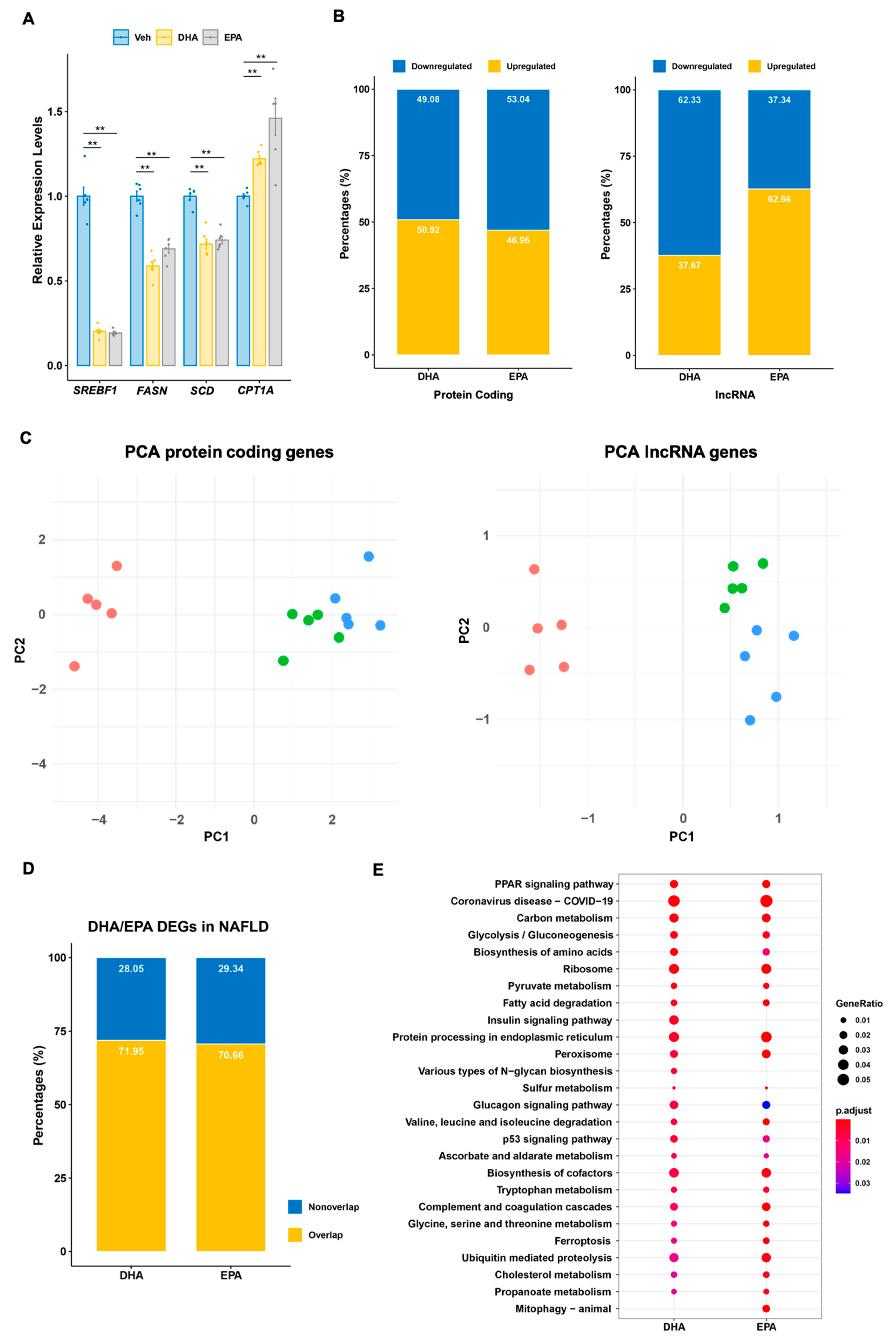 Cells 10 00467 g001 Cells 10 00467 g001