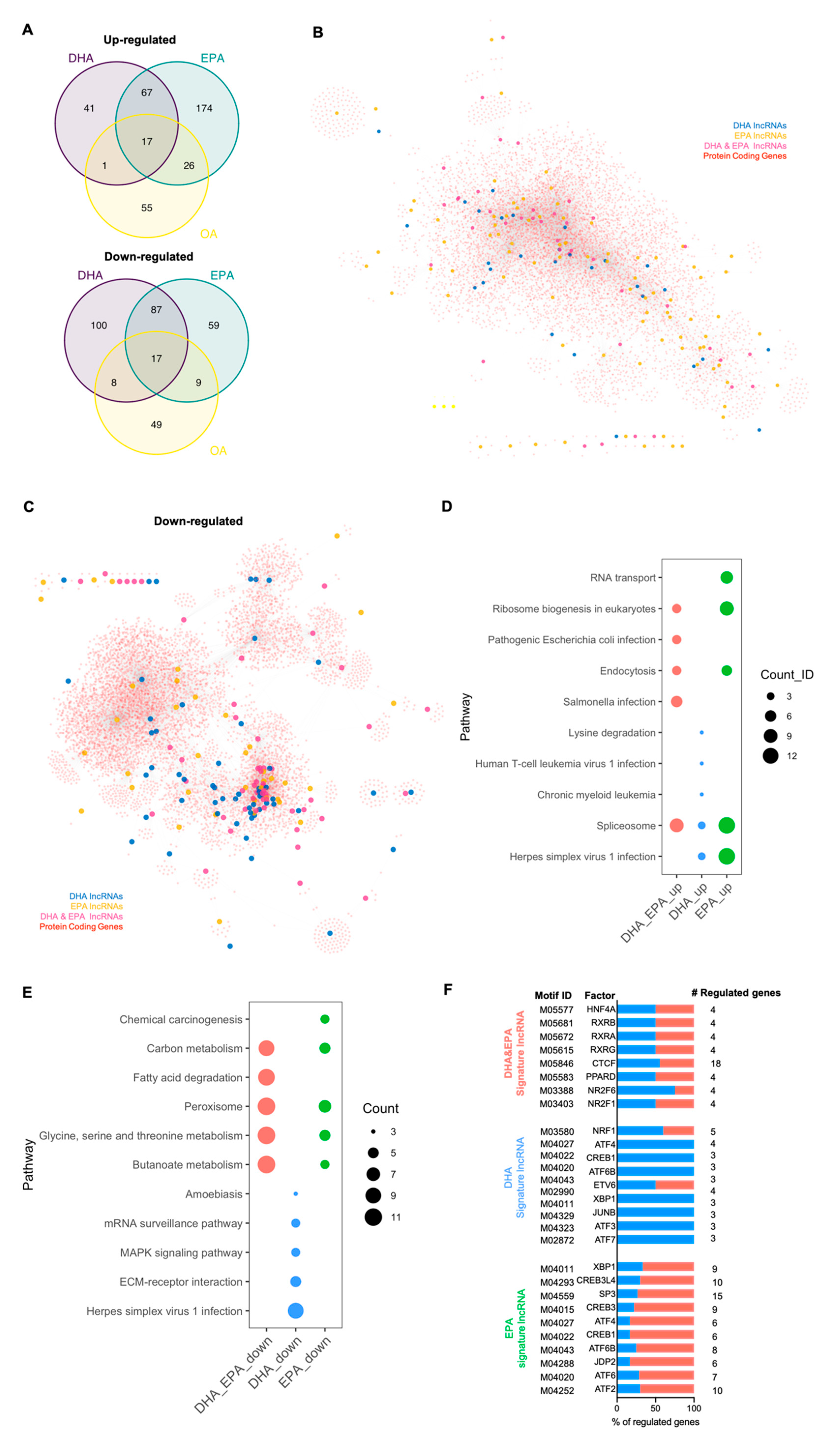 Cells 10 00467 g003 Cells 10 00467 g003