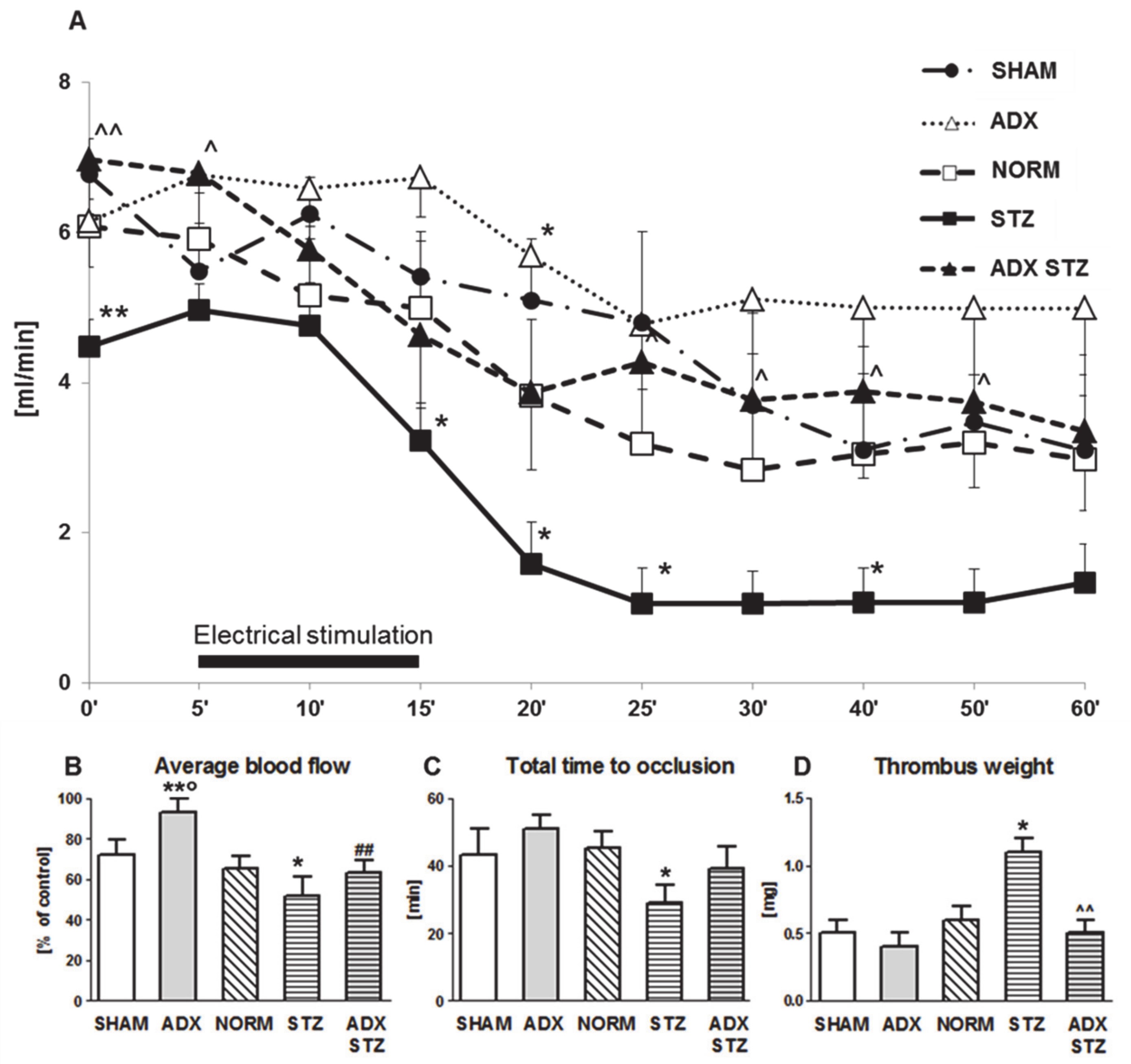 Cells 10 00471 g001 Cells 10 00471 g001
