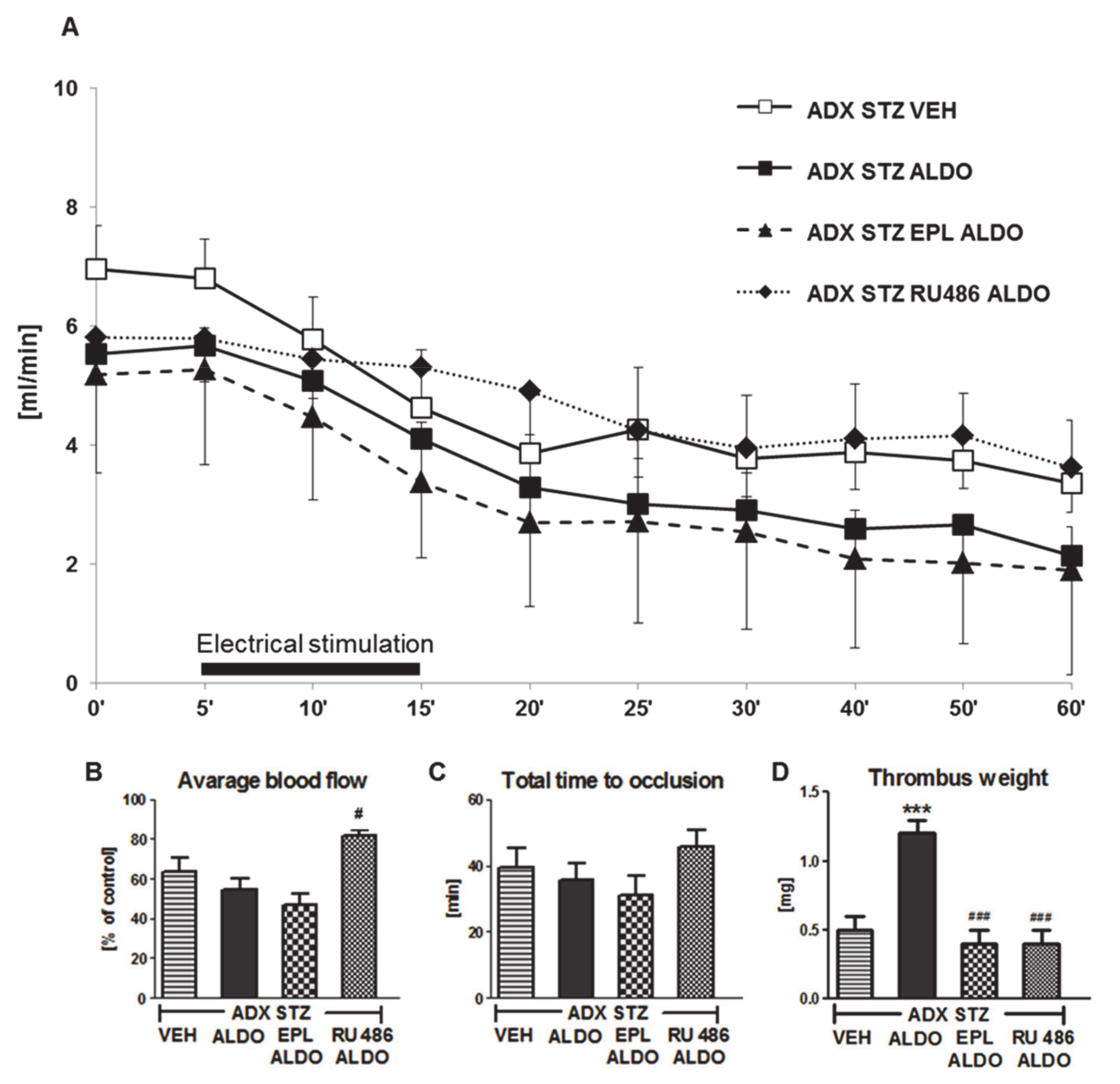 Cells 10 00471 g003 Cells 10 00471 g003