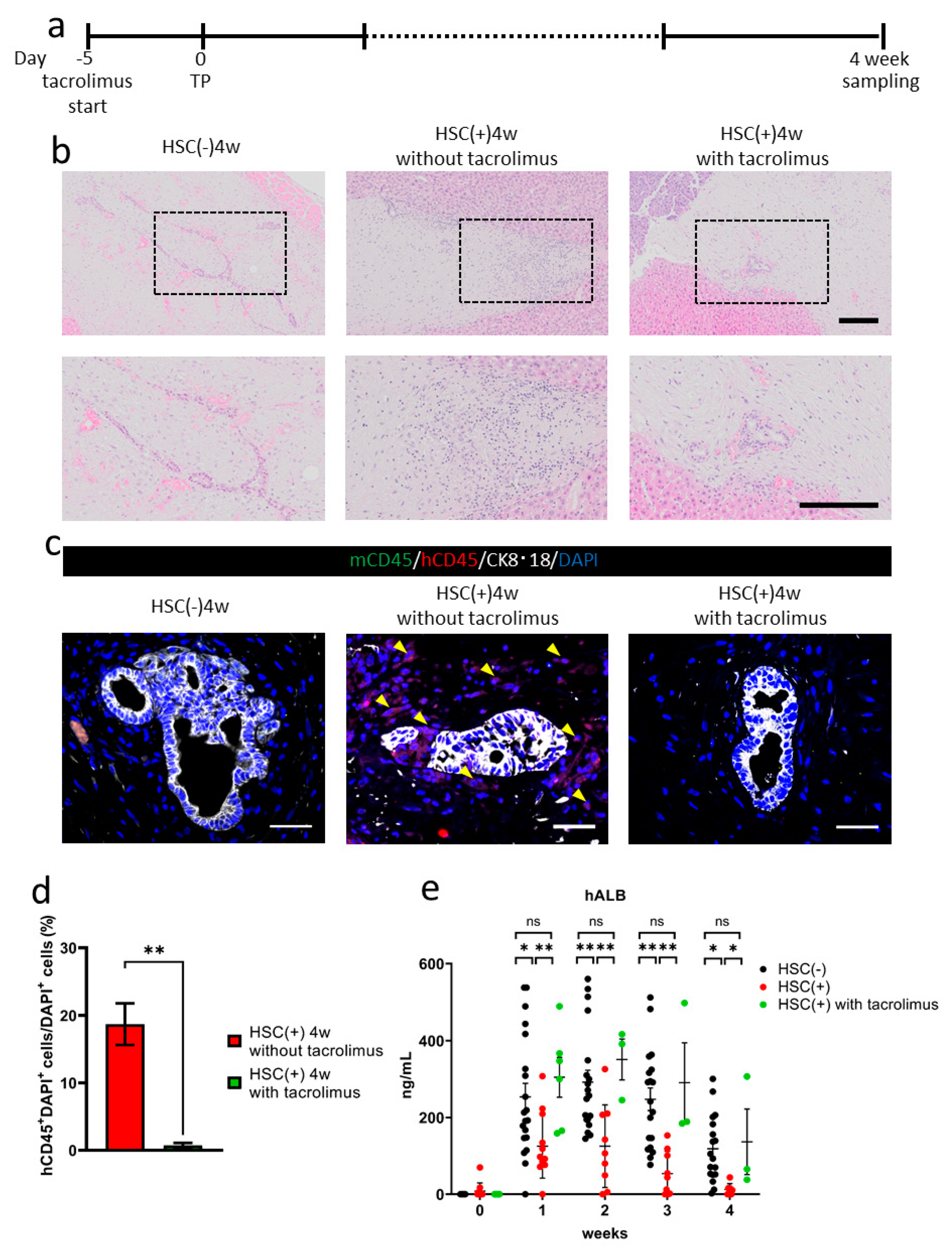 Cells 10 00476 g004 Cells 10 00476 g004