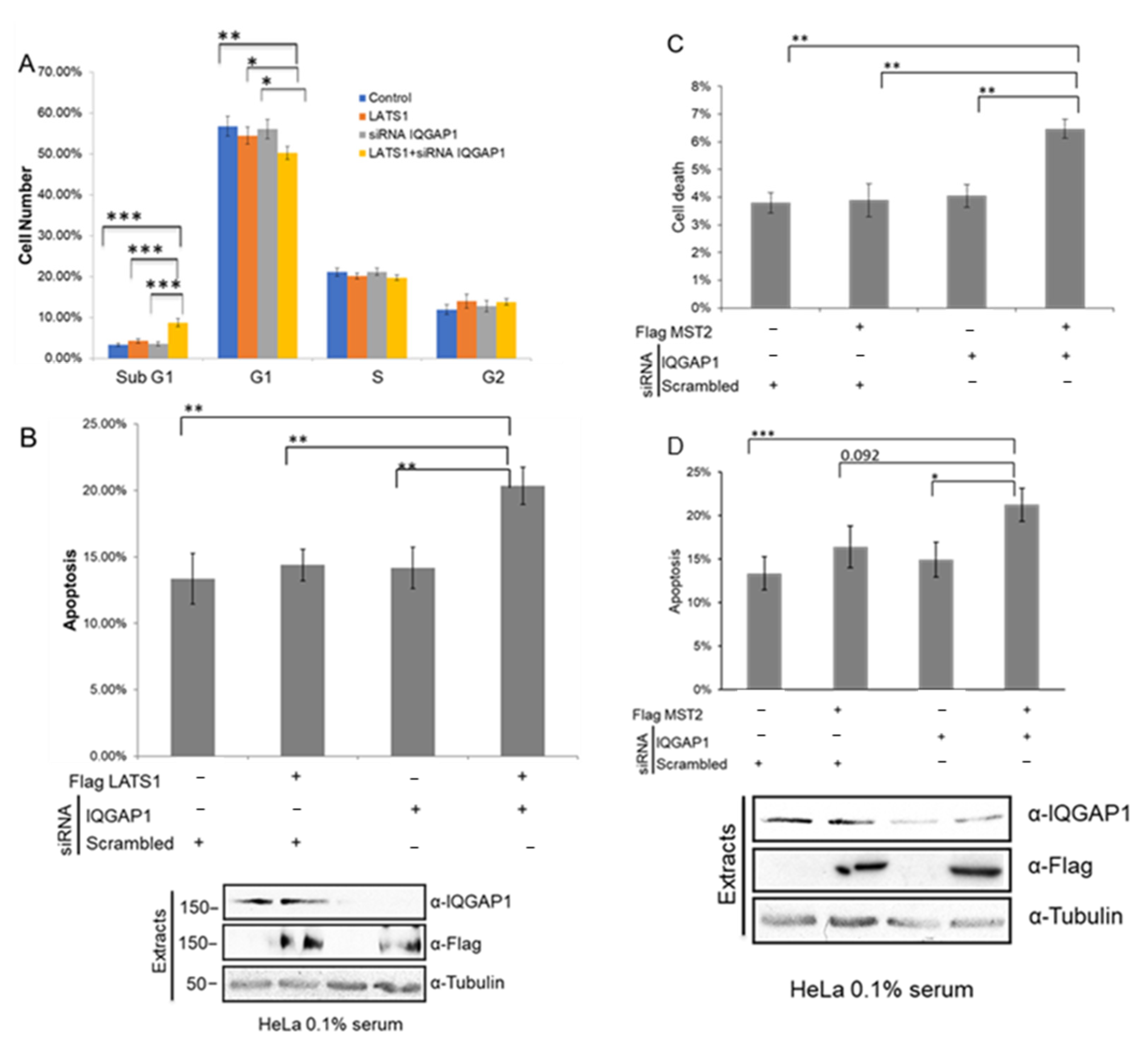 Cells 10 00478 g005 Cells 10 00478 g005