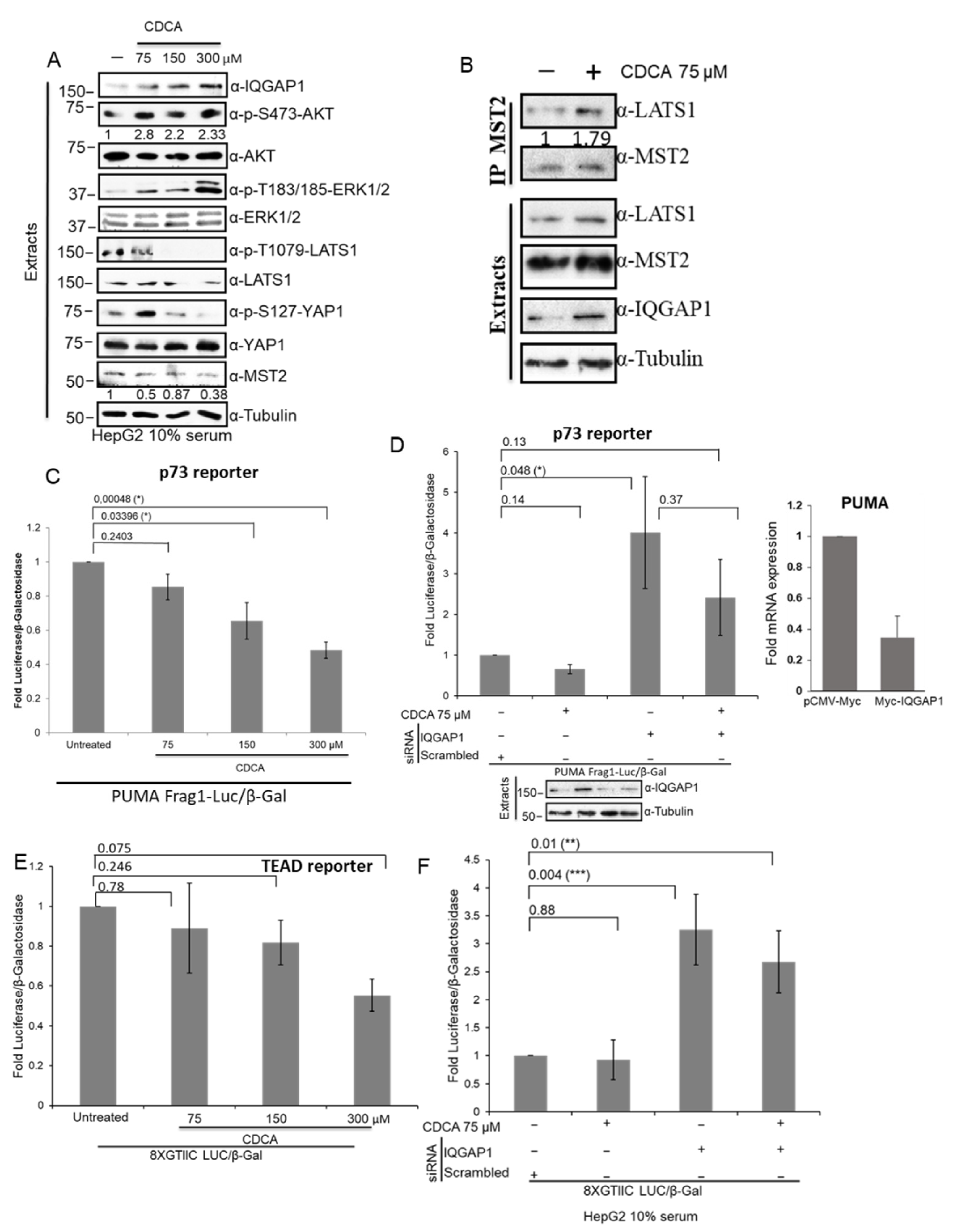 Cells 10 00478 g007 Cells 10 00478 g007