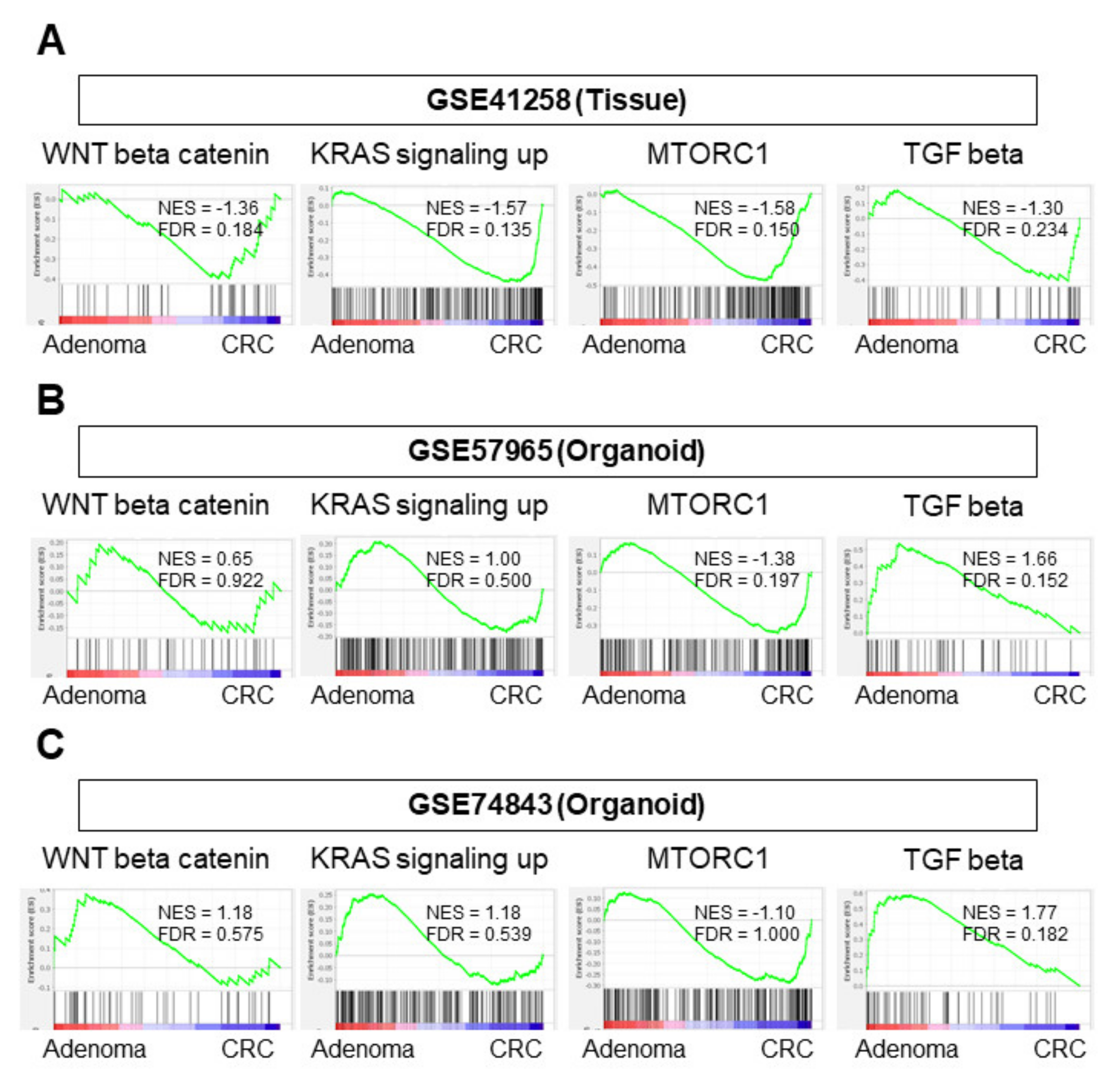 Cells 10 00488 g002 Cells 10 00488 g002