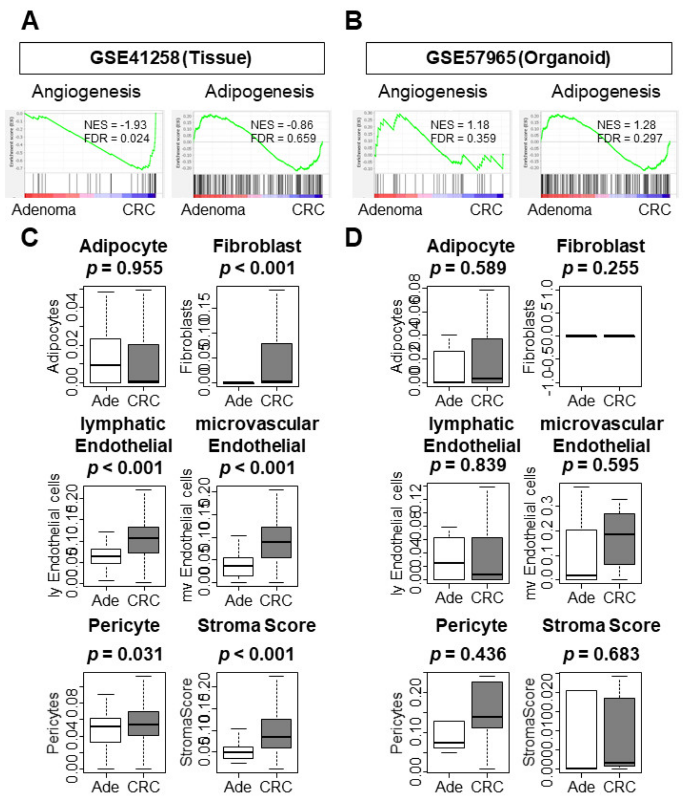 Cells 10 00488 g003 Cells 10 00488 g003